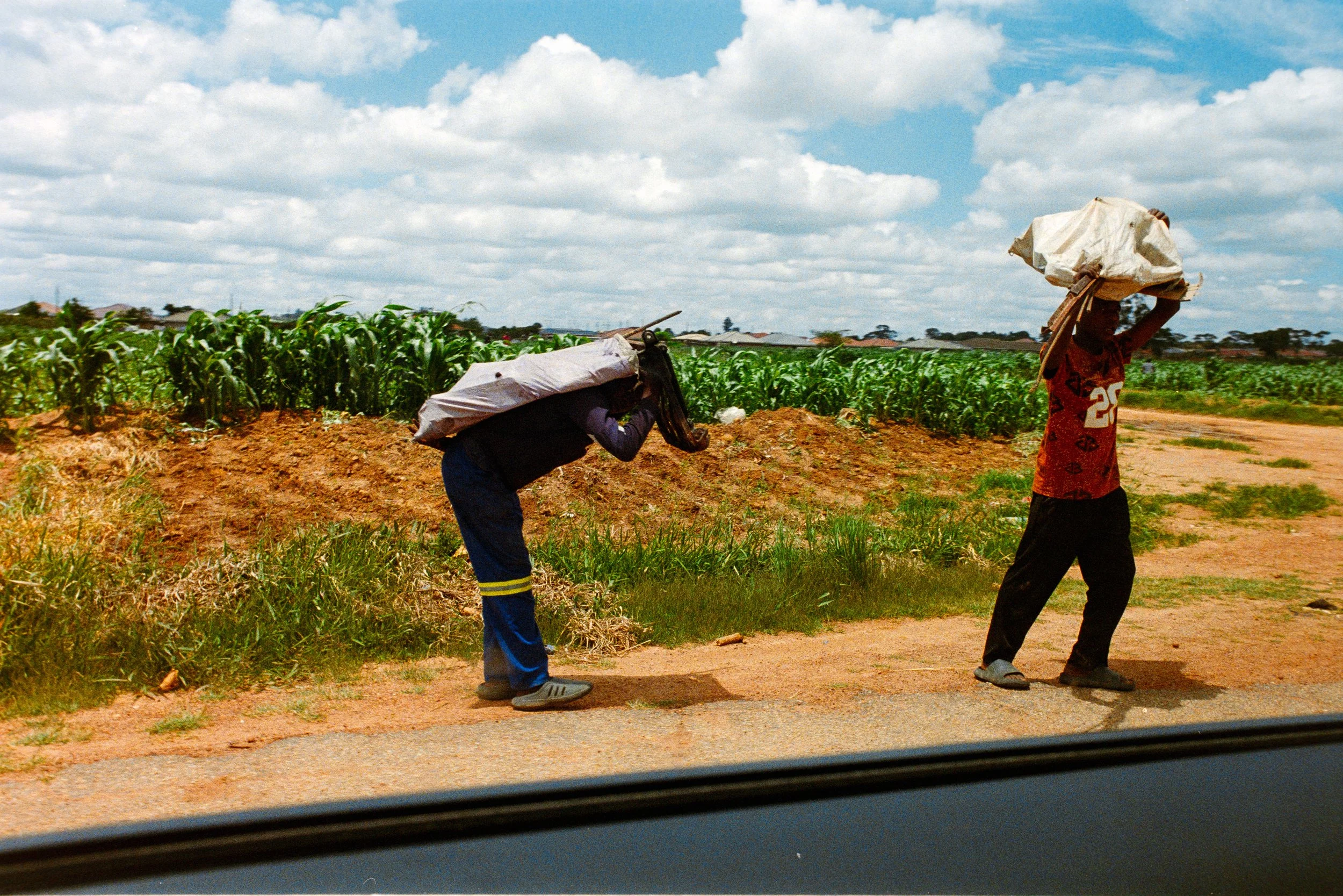 Two people walking along a rural road, carrying large sacks on their shoulders, with farmland and green crops in the background under a partly cloudy sky.