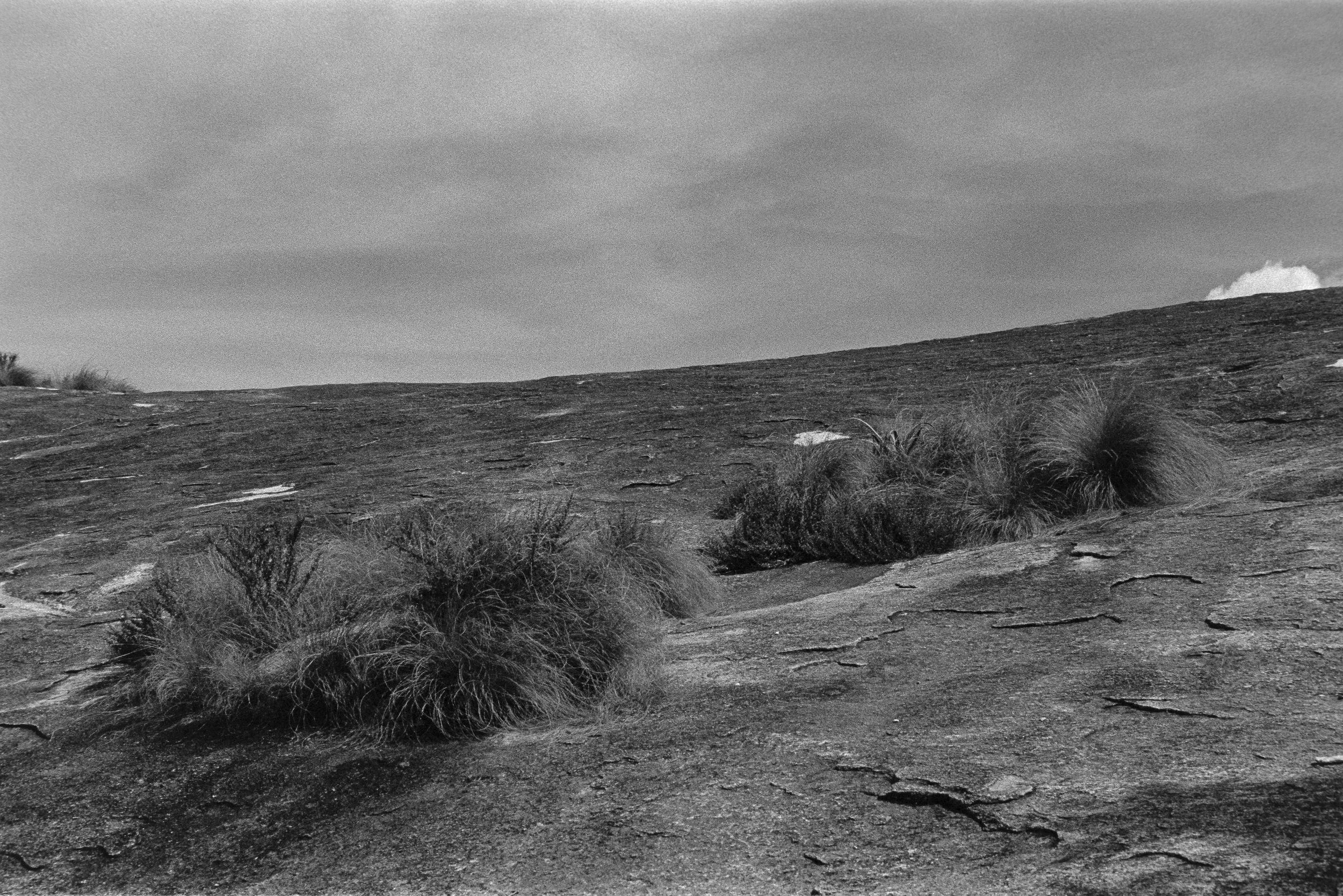 Black and white photo of a rocky, sloped landscape with sparse bushes and grass, under a partly cloudy sky.