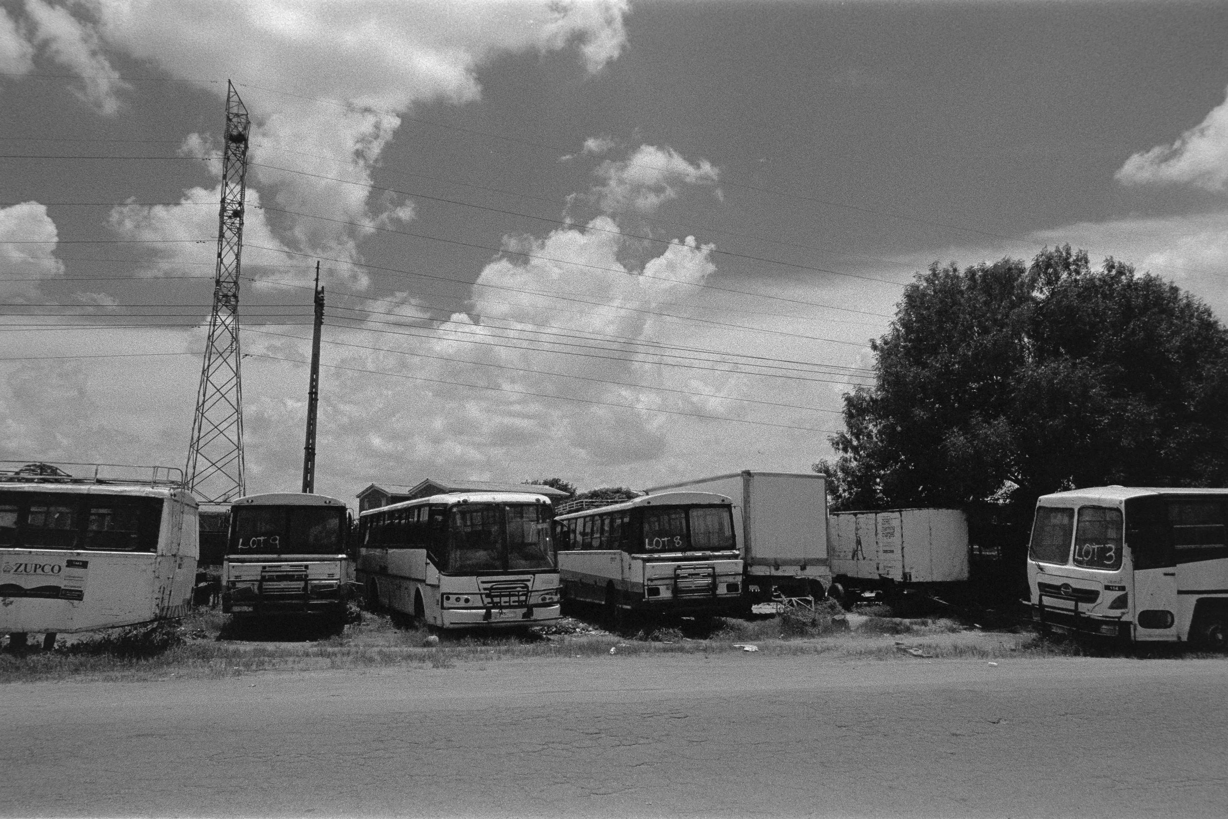 An outdoor lot with several stationary buses and a few trucks. There are power lines, a large tree, and partly cloudy skies in the background.