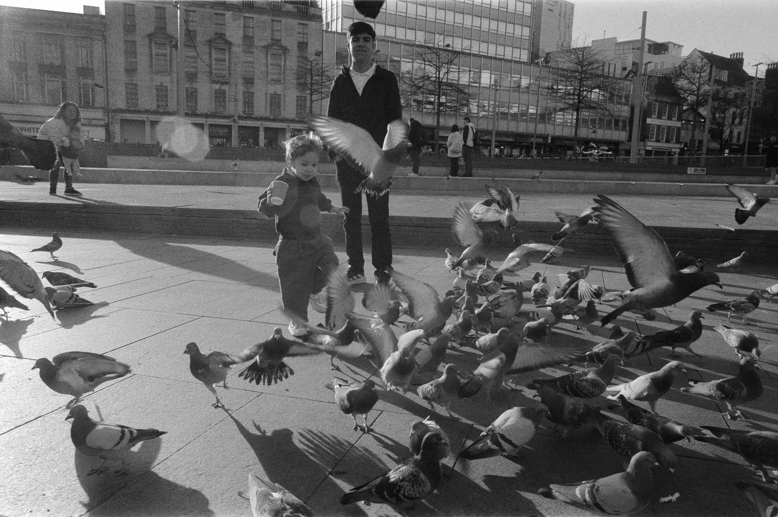 A black and white photo of a city park with children feeding and flying pigeons, with buildings and trees in the background.