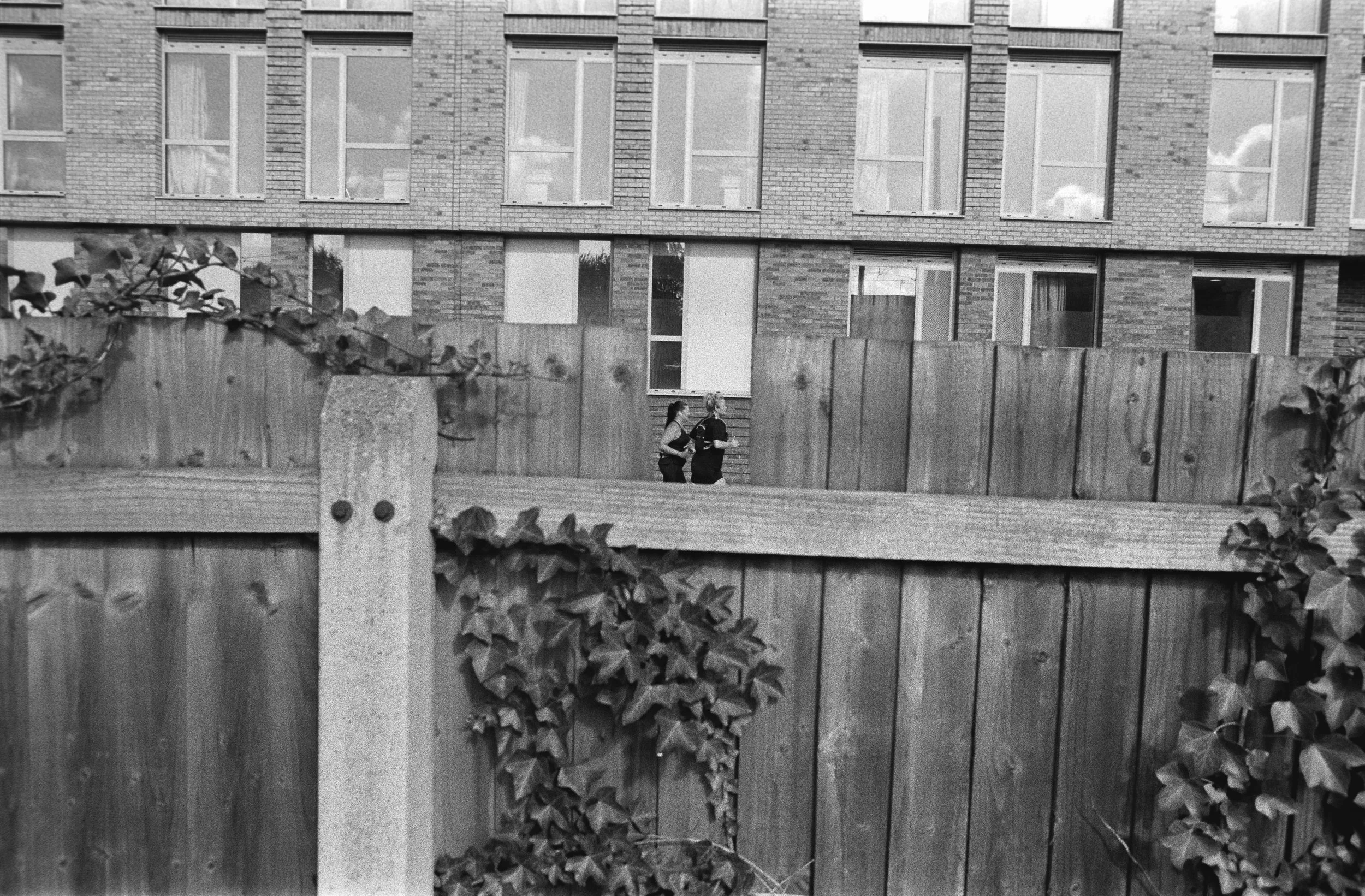 Two women jogging past a tall wooden fence with ivy, in front of an apartment building with large windows reflected in the glass.