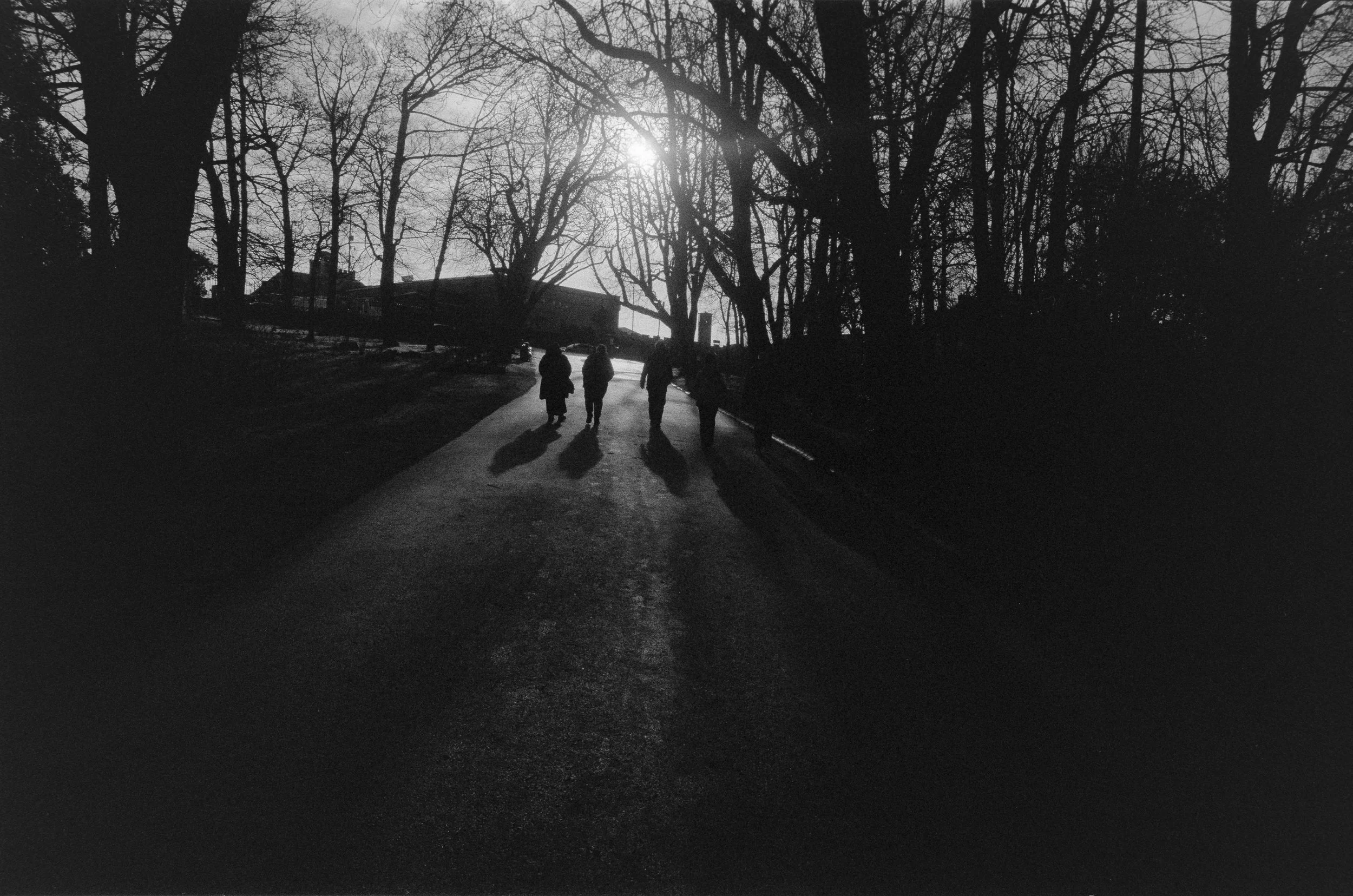 Black and white photo of five people walking down a street with bare trees and buildings in background, backlit by the sun.