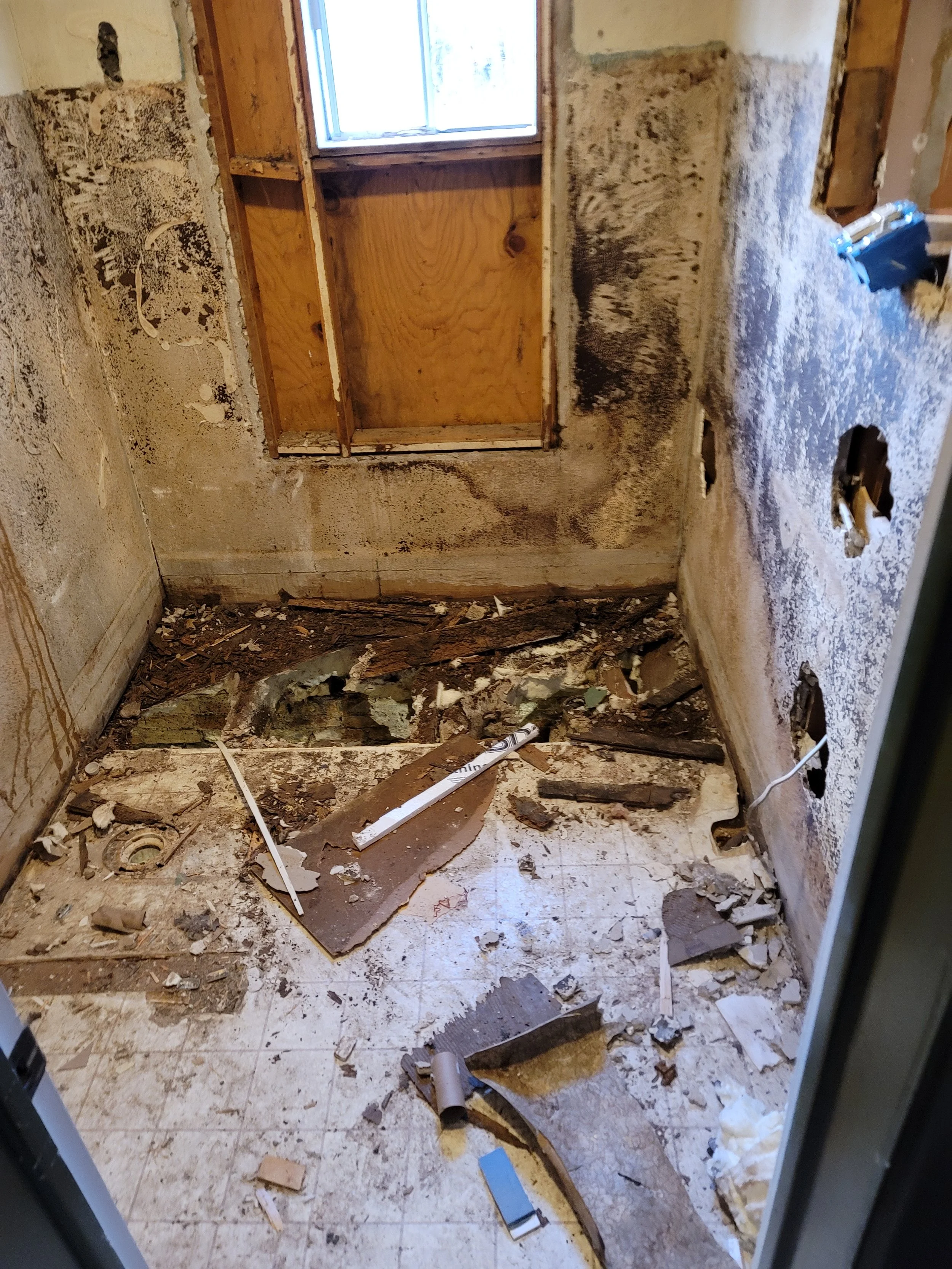 The 1920's Bathroom Project