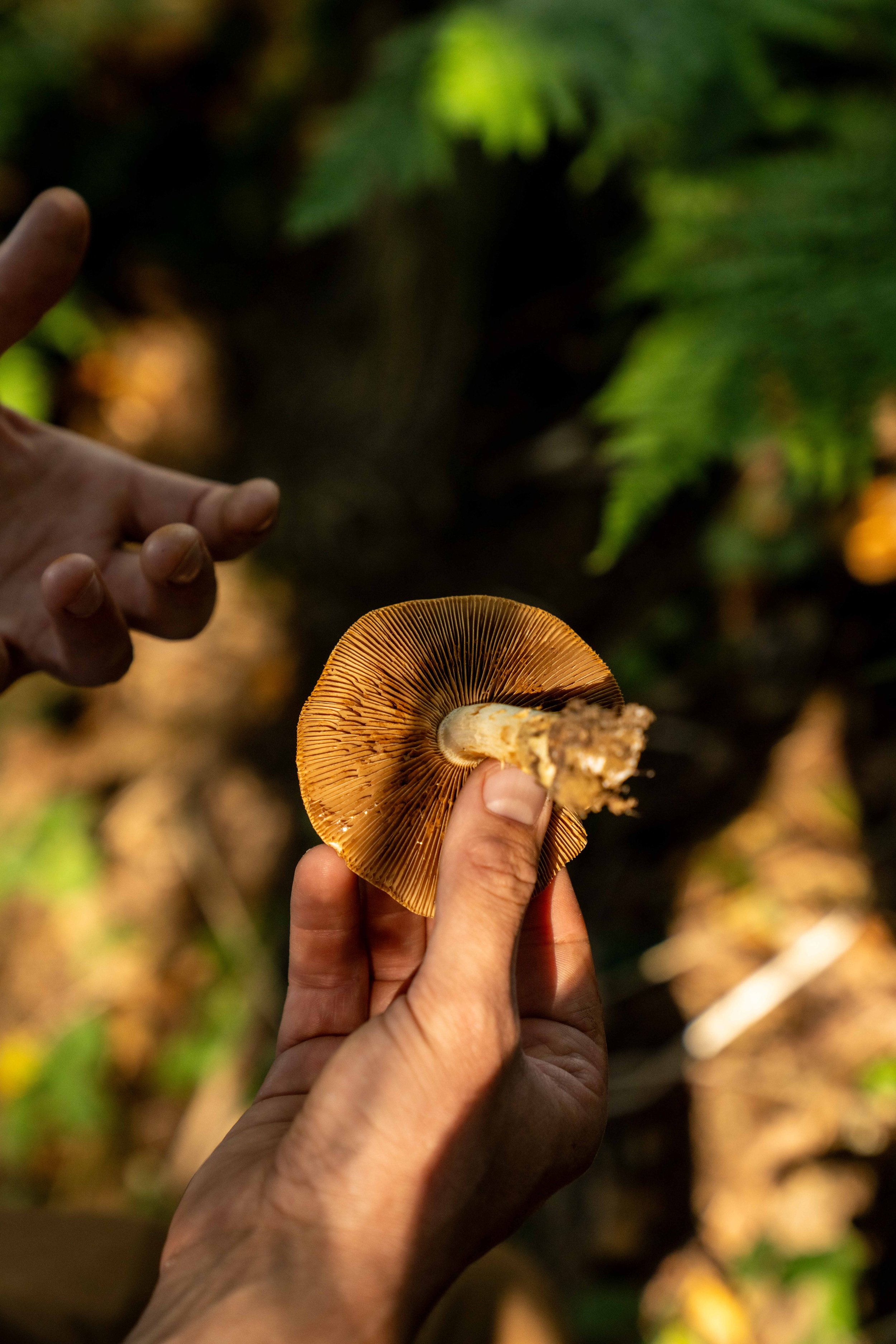 NK Ray X Guy Foraging-14.jpg