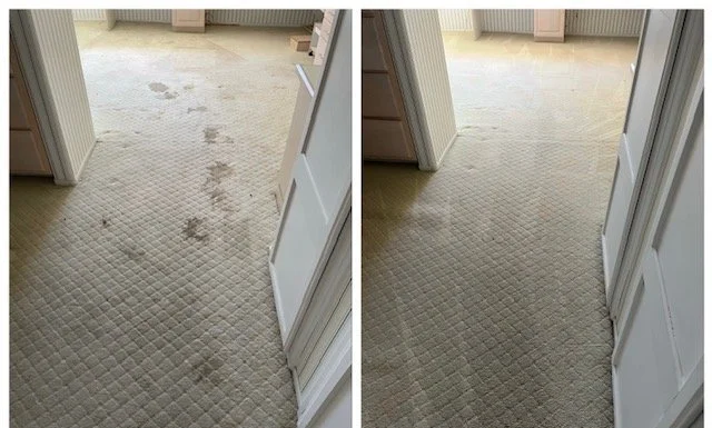 Carpet Cleaning