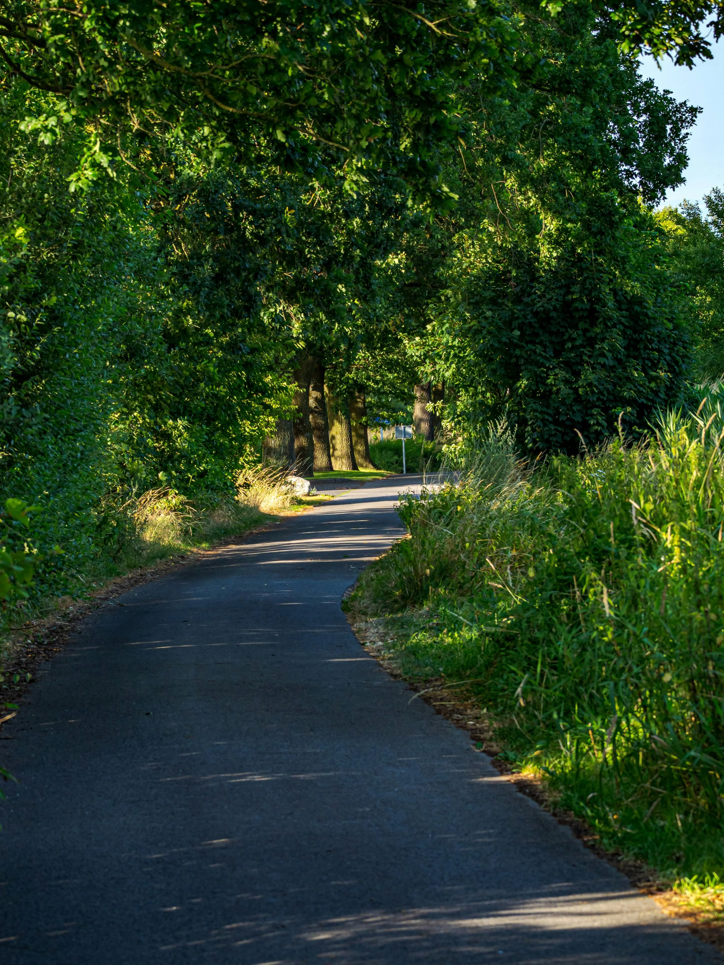 Tree lined bike path in Leawood, KS