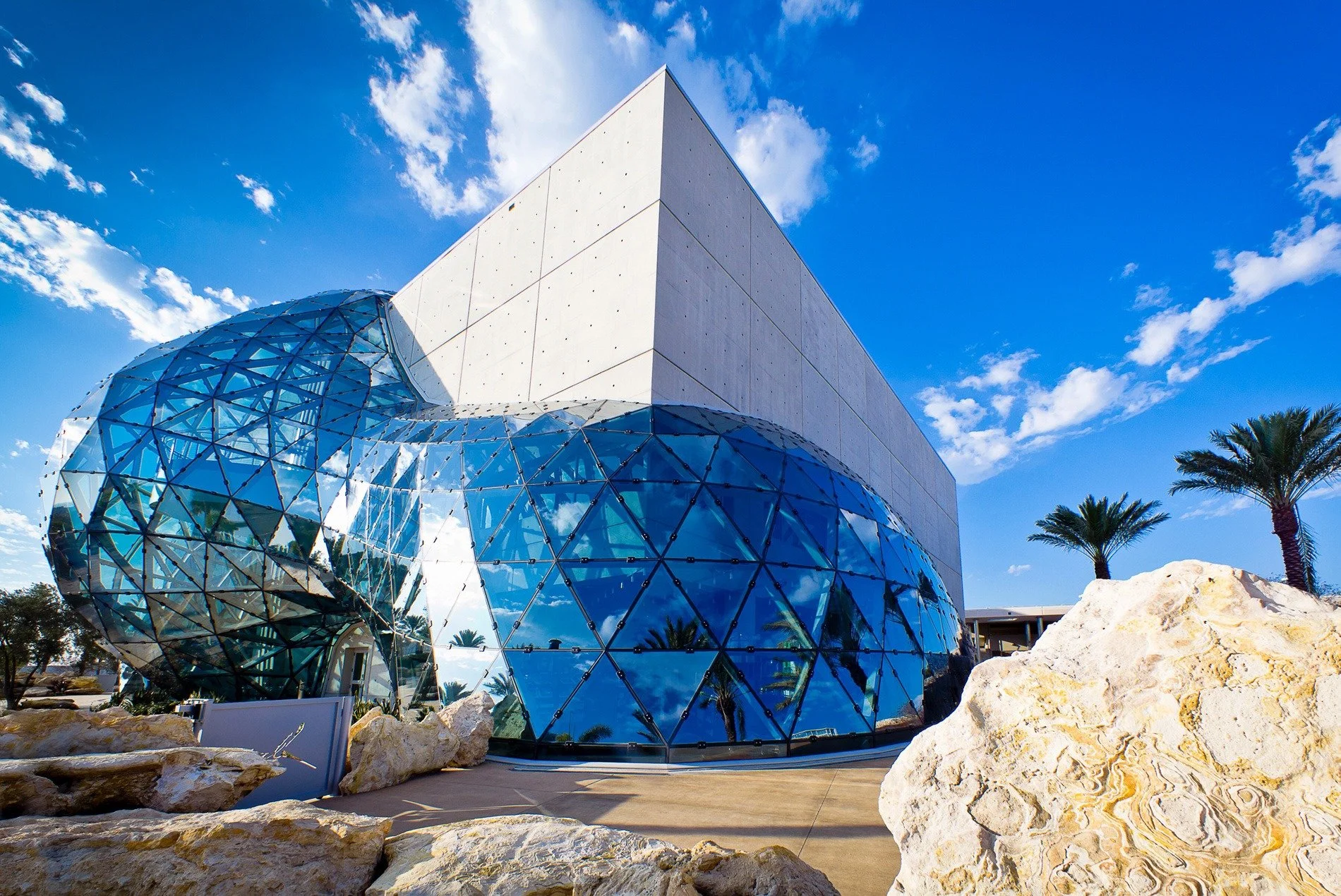 The Dalí Dozen: Ten-Year Anniversary