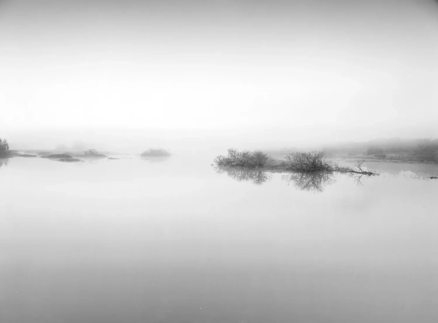 Myakka Fog II.jpeg (Copy)