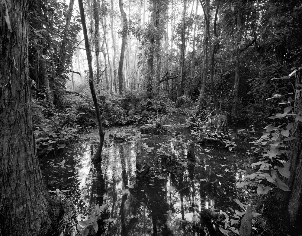 Loosescrew Sanctuary 0001.jpeg (Copy)