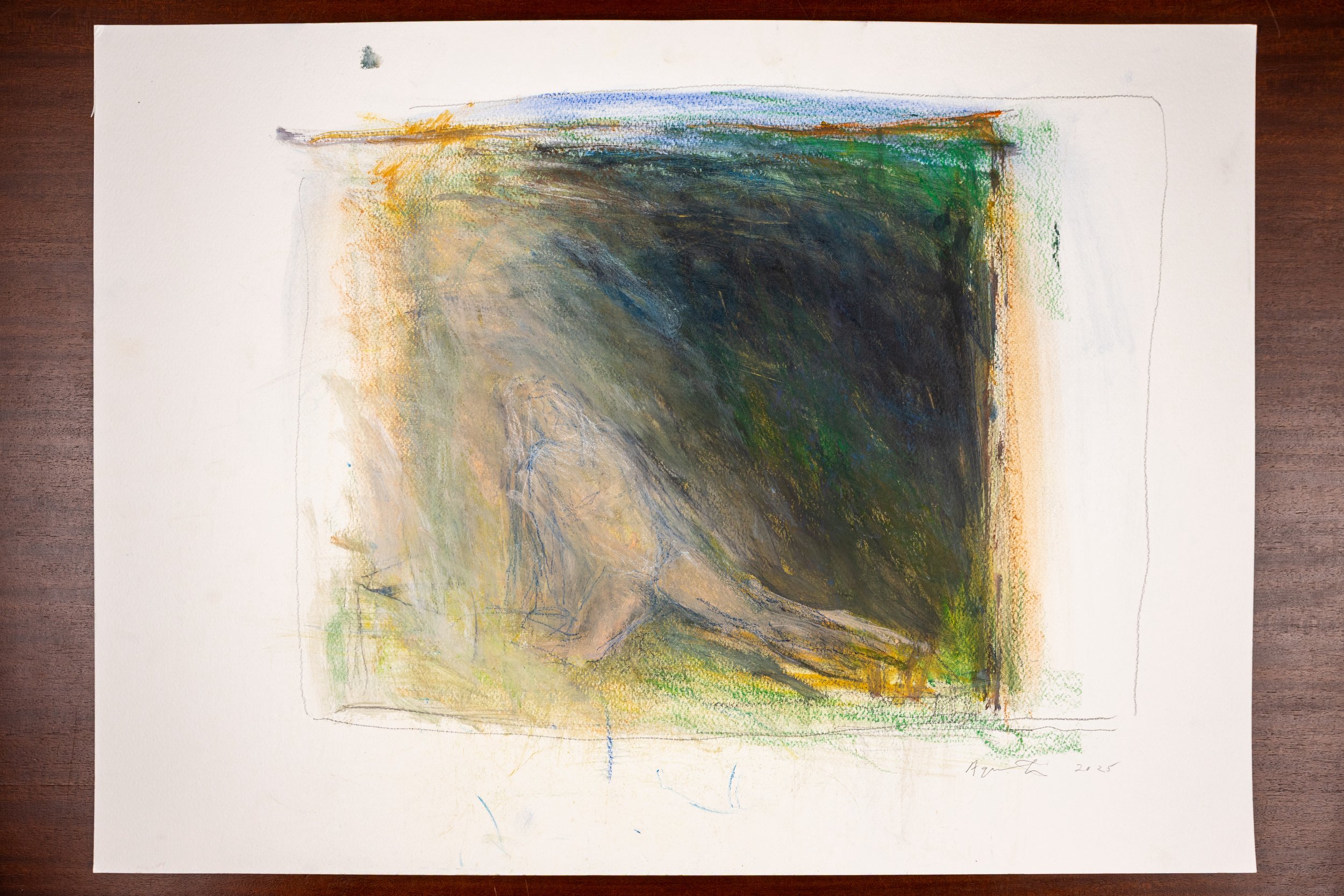AGRESTI_Cloudy Day Drawings 2_22X30.jpg