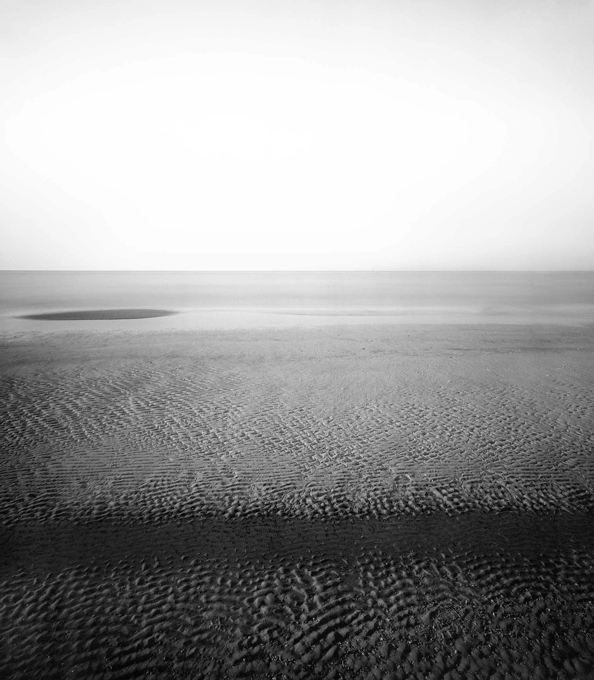 Siesta-1-12x14.jpg