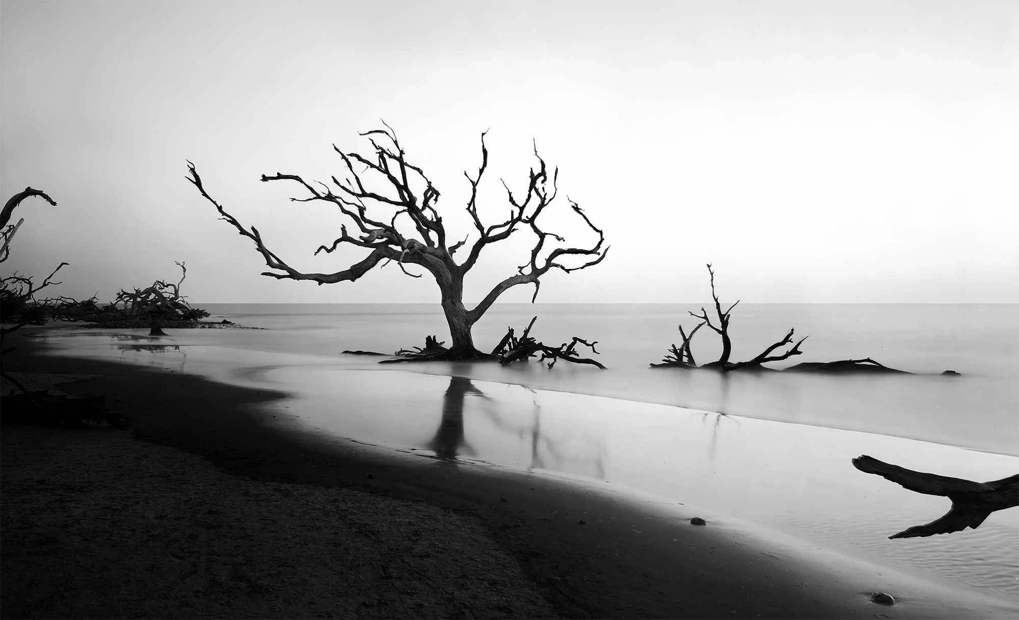 Jekyll-2000px (2).jpg