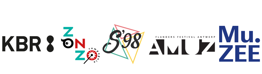 Cultuurorganisaties met ambitie