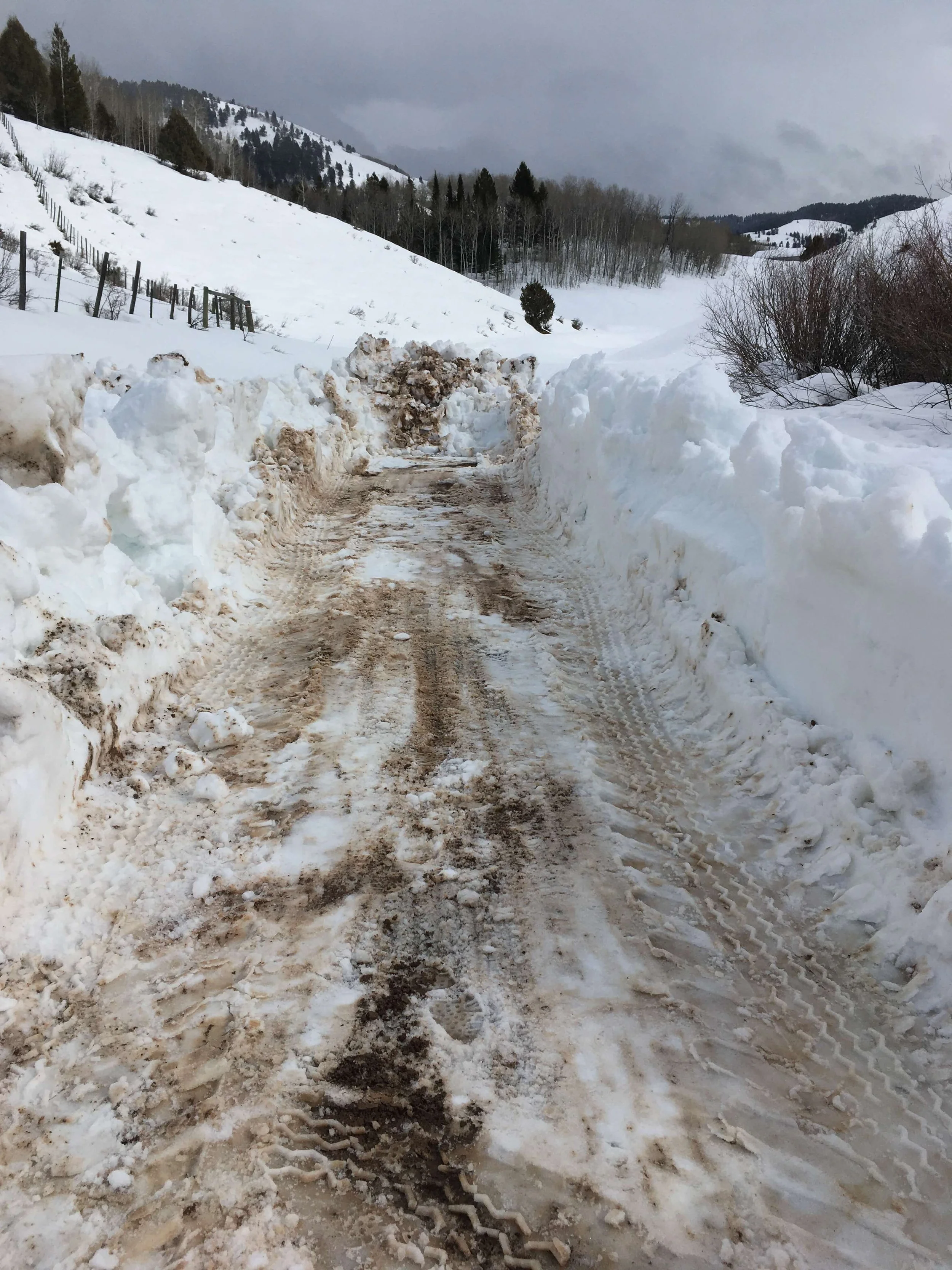 Driveway with several feet of snow in the process of being cleared for a new home build in Star Valley Wyoming