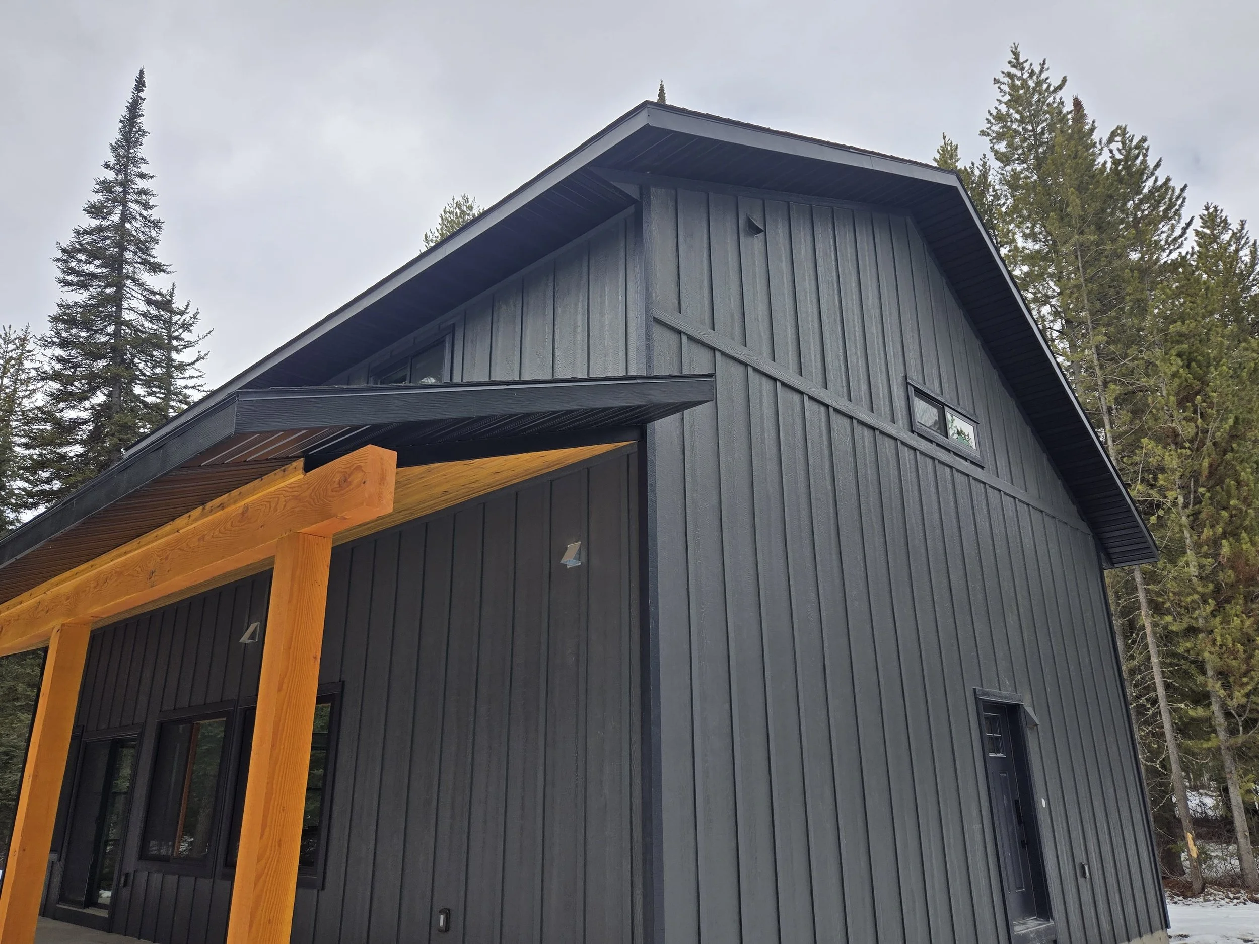 Modern black wooden house with a sloped roof and a small window, surrounded by tall pine trees, under a cloudy sky.