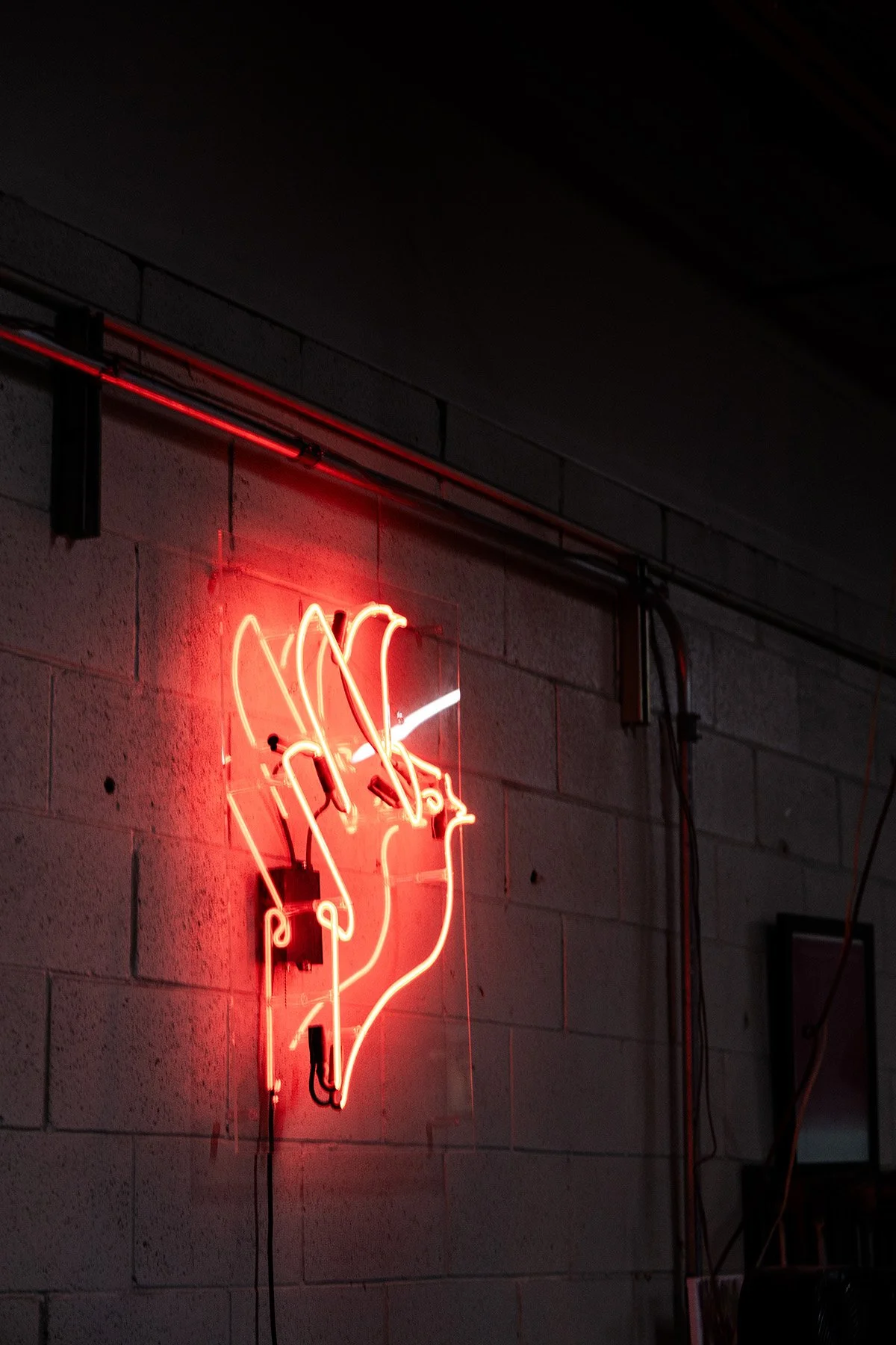 Neon sign of a red bird in flight, depicted in a bold, simplified graphic style.