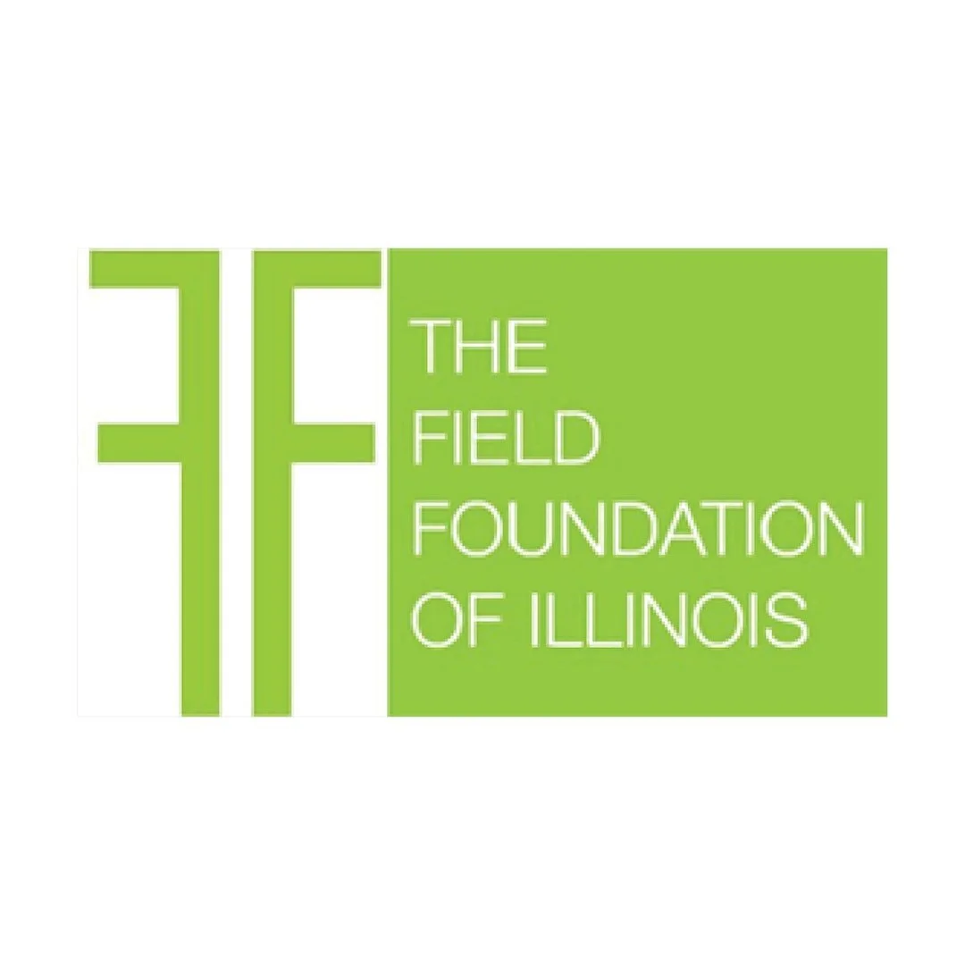 Logo of The Field Foundation of Illinois with green and white design.