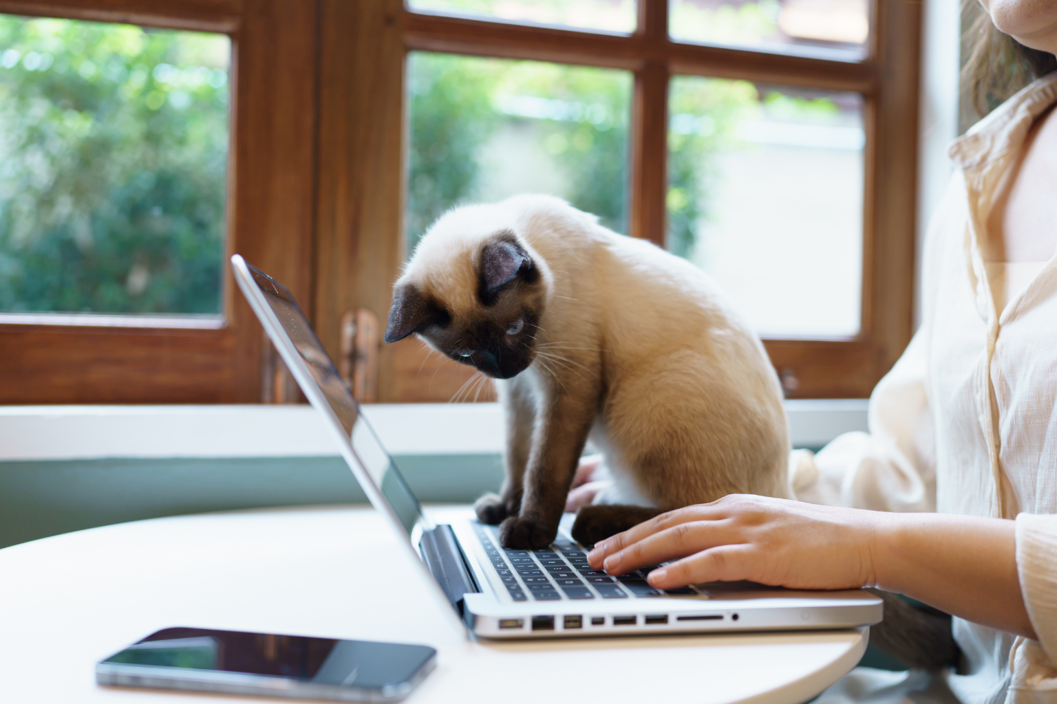 product page forwardready u (1).png