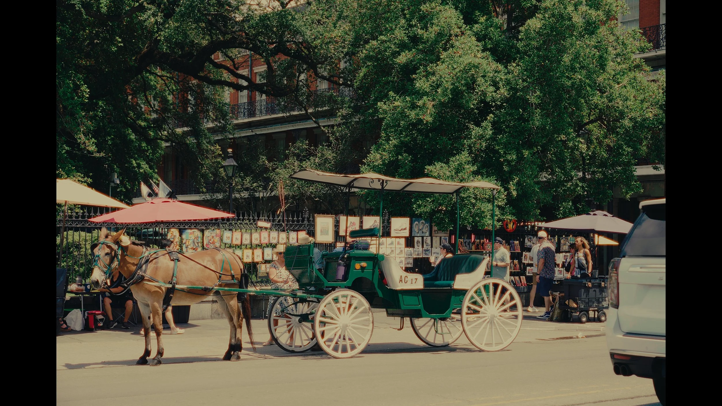 Untitled_1.5.7 copy.jpg