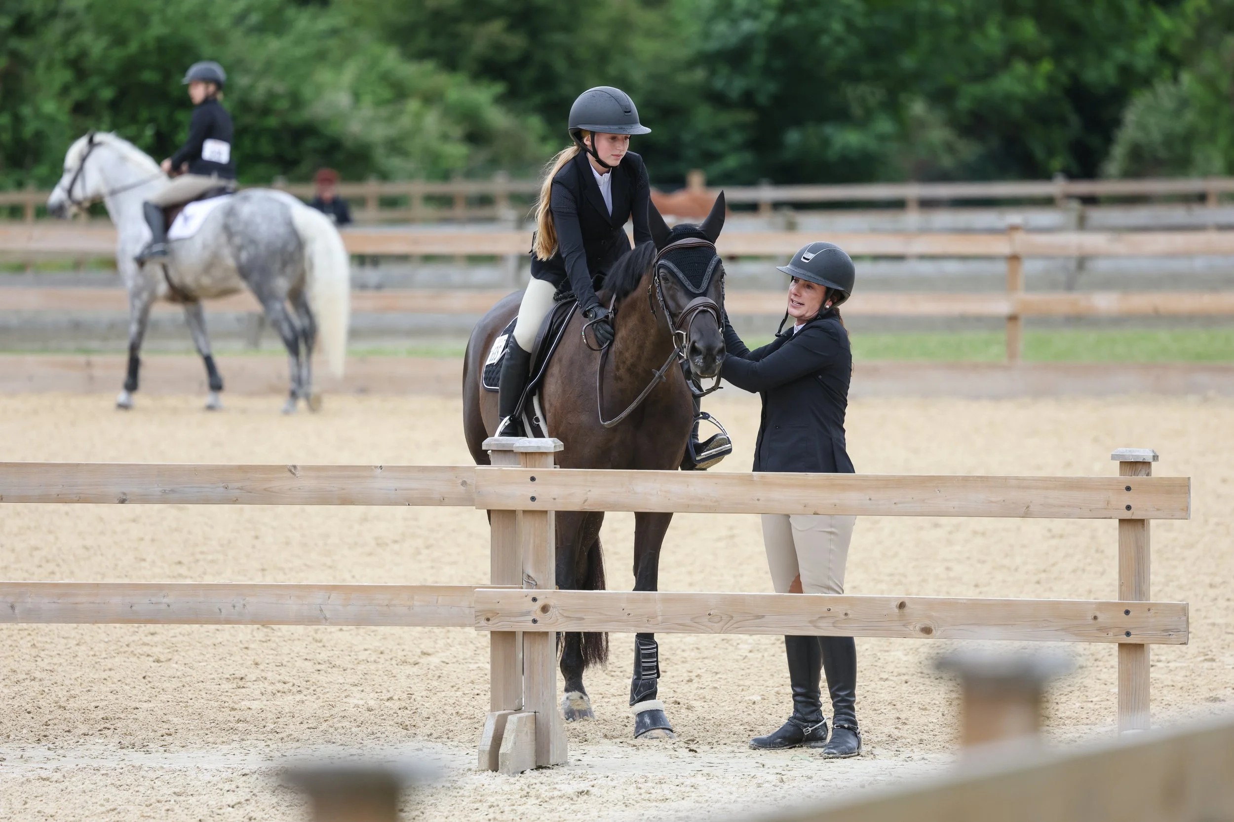 Happy EQ Trading Ltd importing European Horses for North American riders.