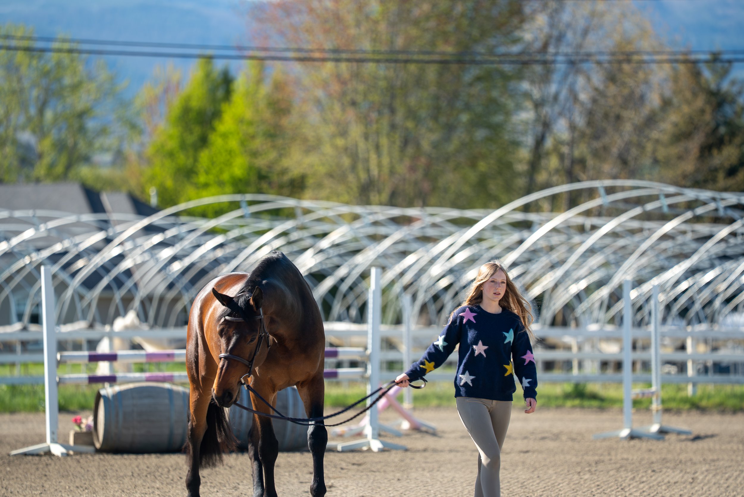 Happy EQ Contact Us