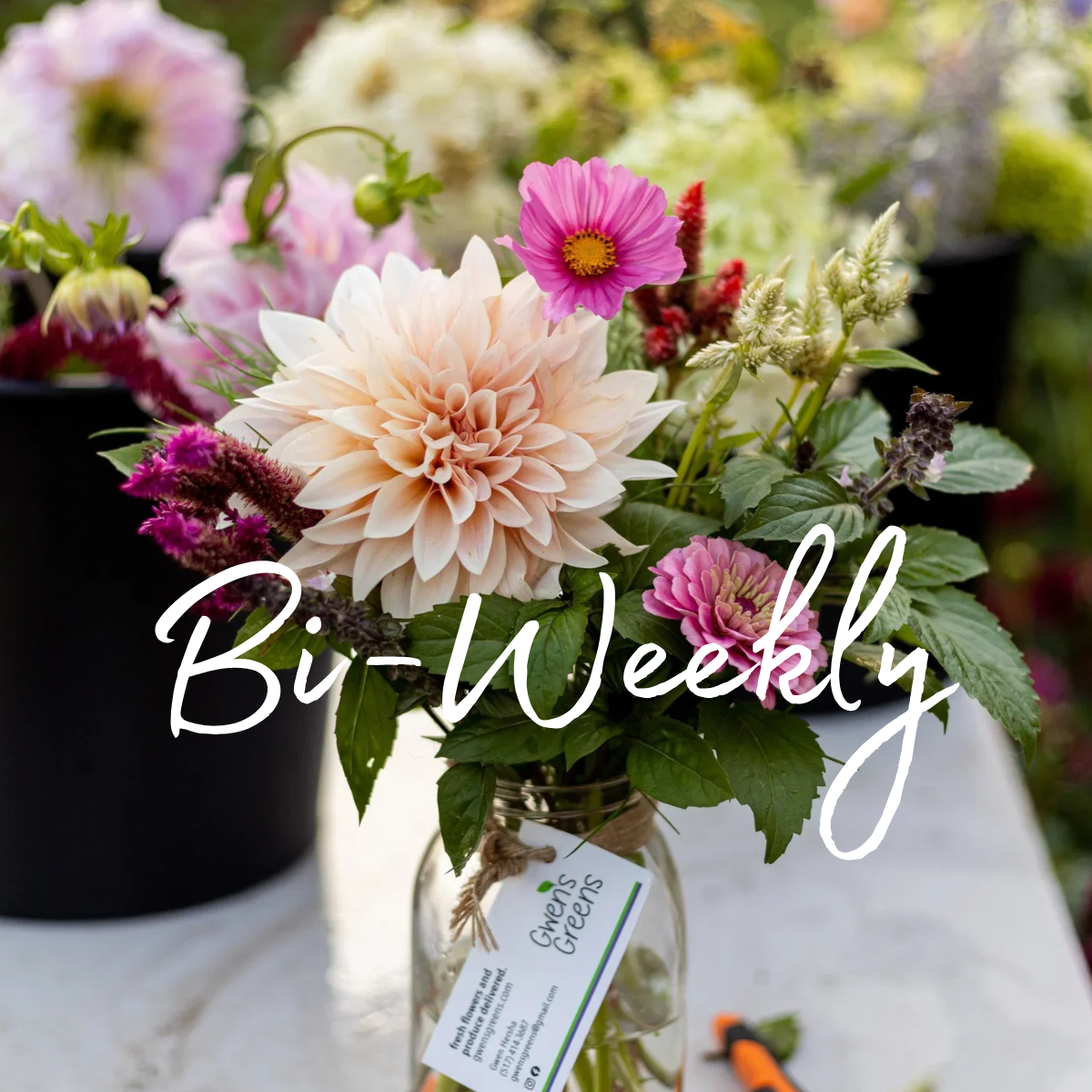Bi-Weekly Flower Share