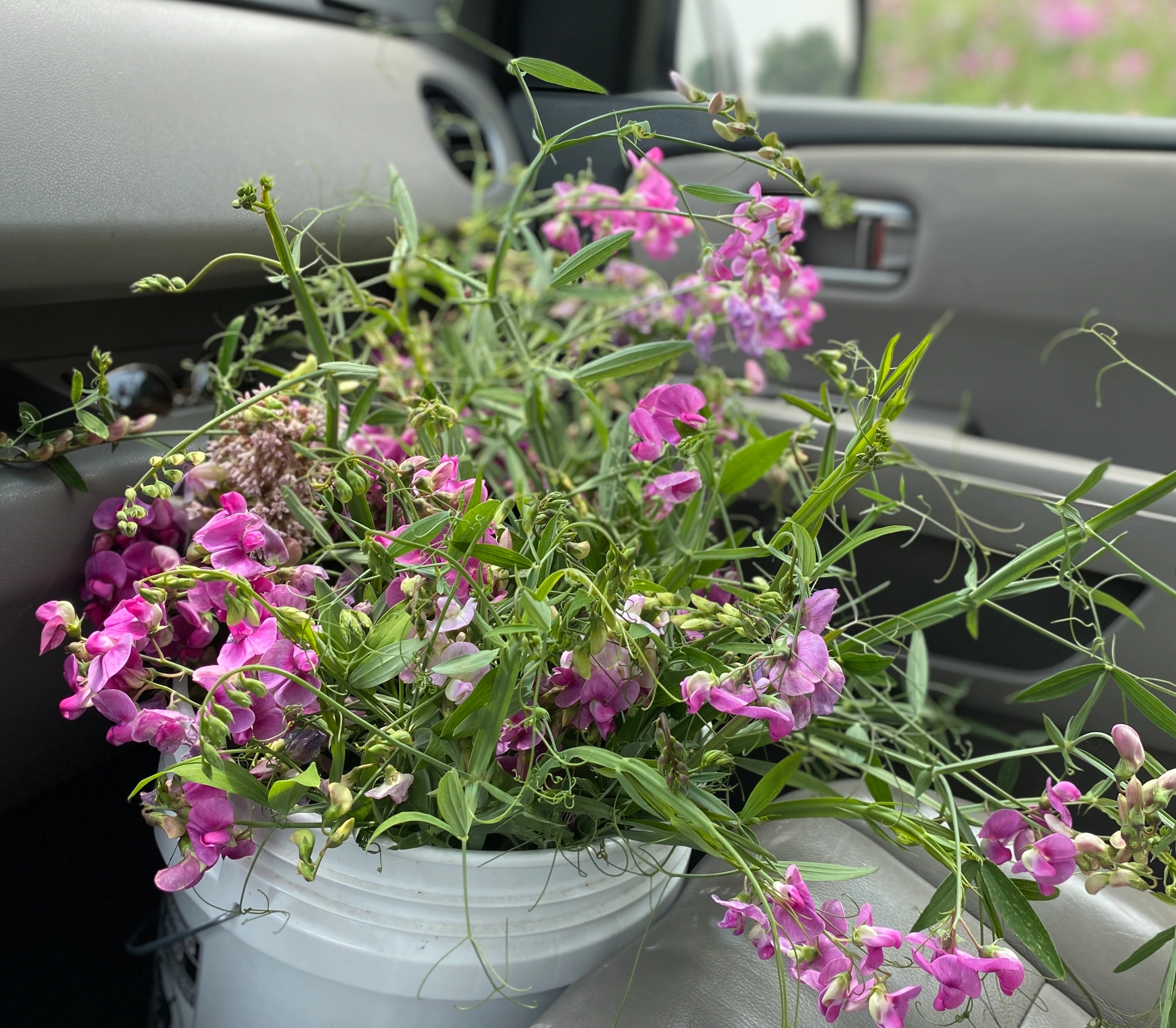 It is not a secret . . .