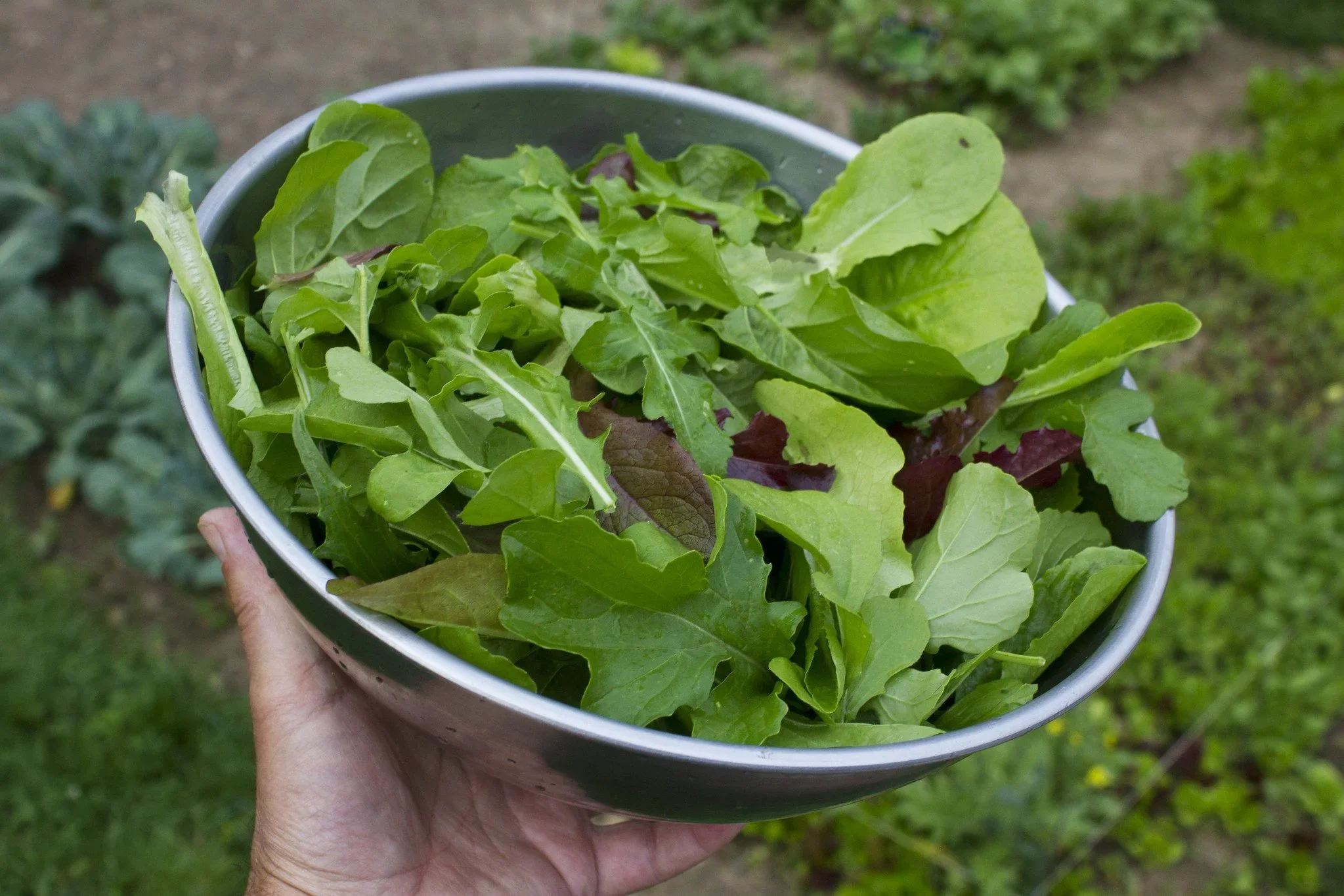 Are you in a 3-green rut?