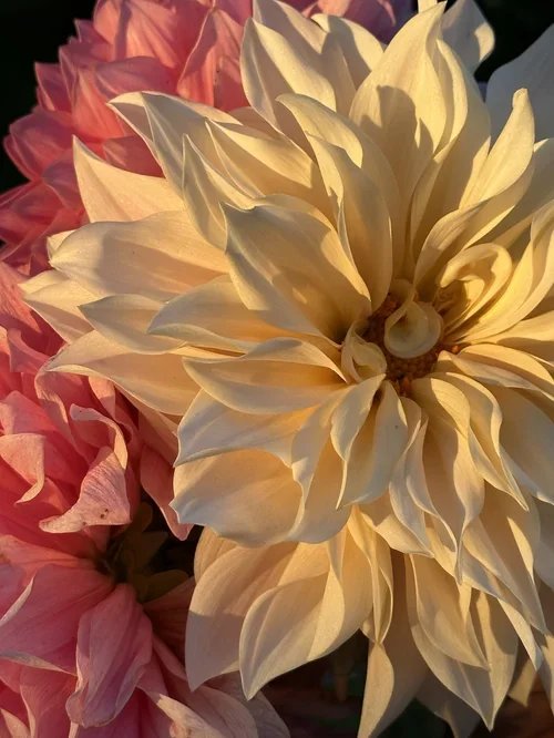 Thoughts on the Seasons