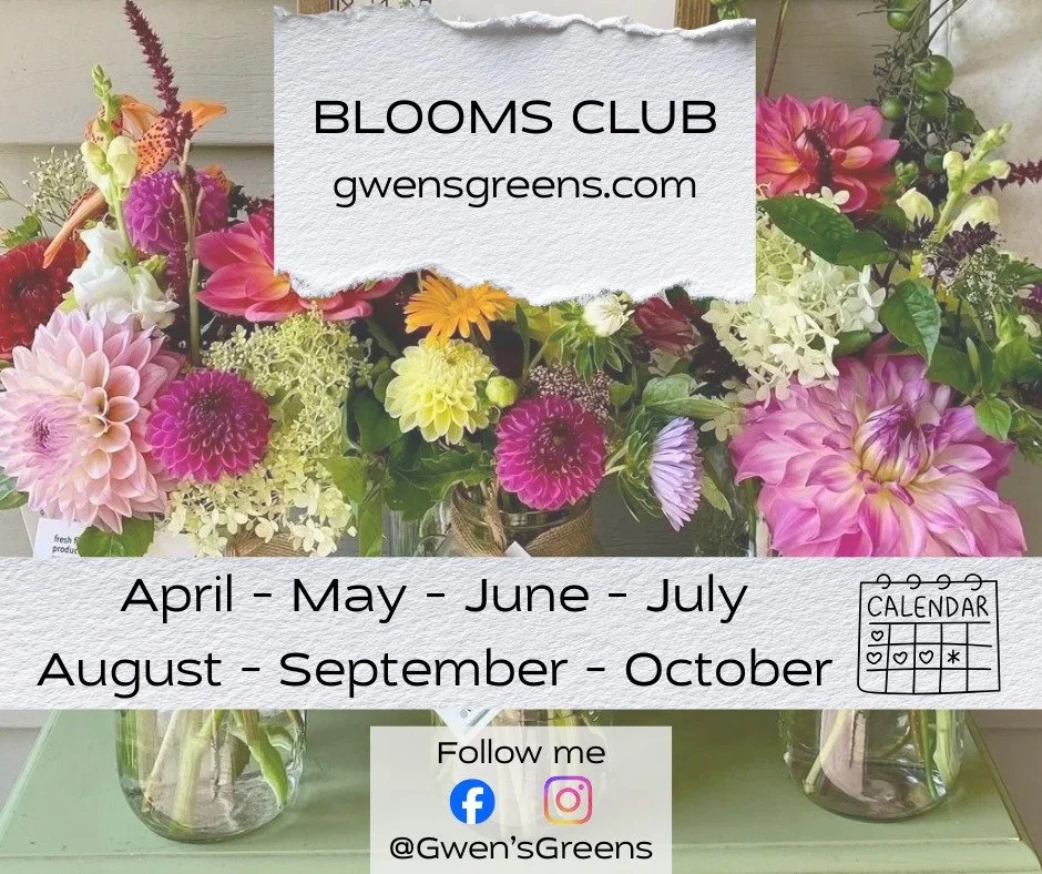 Flower friends love this club! Subscribe for every month this season, or choose the months that work best for you! Shop now www.gwensgreens.com #gwensgreens #gwensblooms #Shopforblooms
