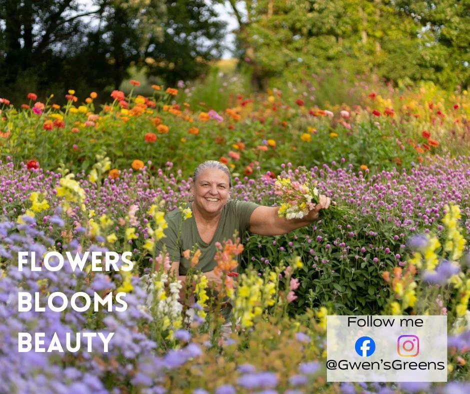 Spring is on its way! I'm committed to bringing you fresh cut blooms all season long! Sign up for your blooms today! www.gwensgreens.com #gwensgreens #gwensblooms #Shopforblooms