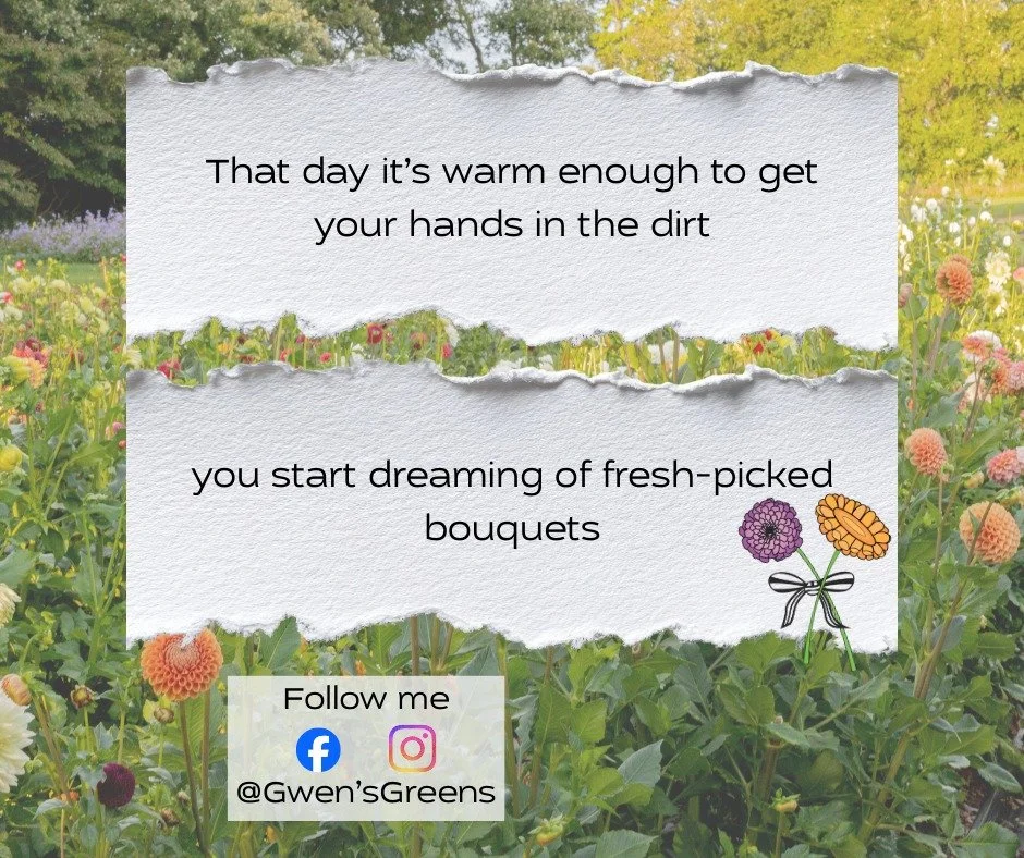 We have some great options for flowers this season! Check out our shop. www.gwensgreens.com #gwensgreens #gwensblooms #Shopforblooms
