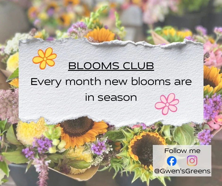 Imagine a beautiful fresh bouquet on your doorstep every week! We have options for a full share or a half share in our shop. wwwgwensgreens.com #gwensgreens #gwensblooms #Shopforblooms