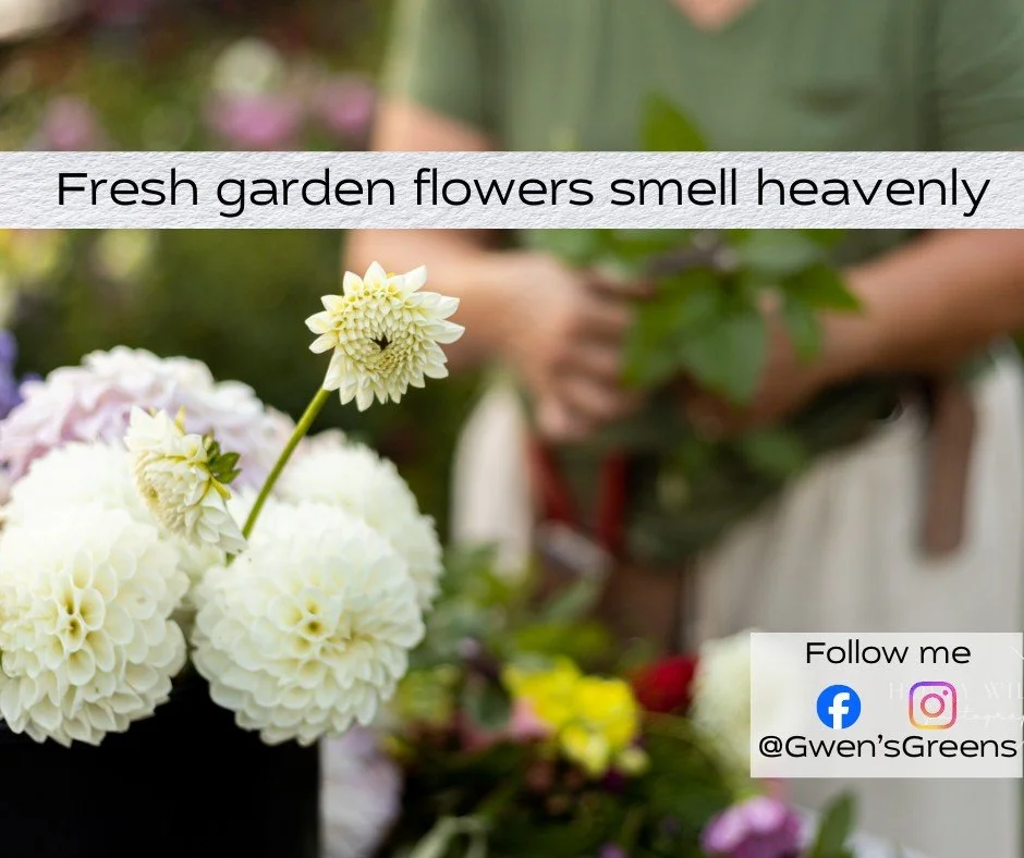 Don't settle for shipped bouquets. Enjoy fresh and local with www.gwensgreens.com #gwensgreens #gwensblooms #Shopforblooms #freshandlocal