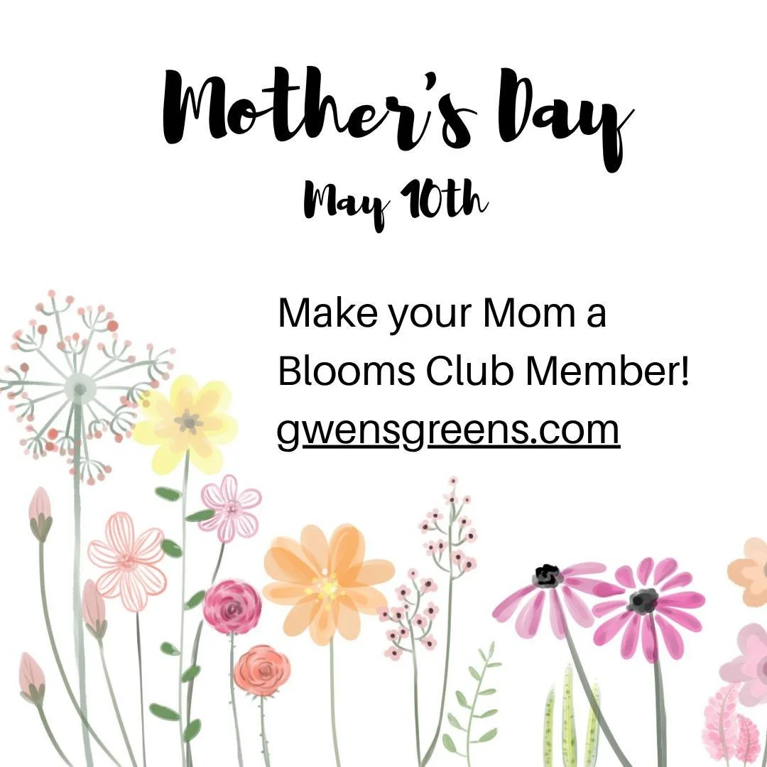 Thank you for helping us share goodness and beauty! #linkinbio #gwensgreens #goodnessandbeauty #gwensblooms