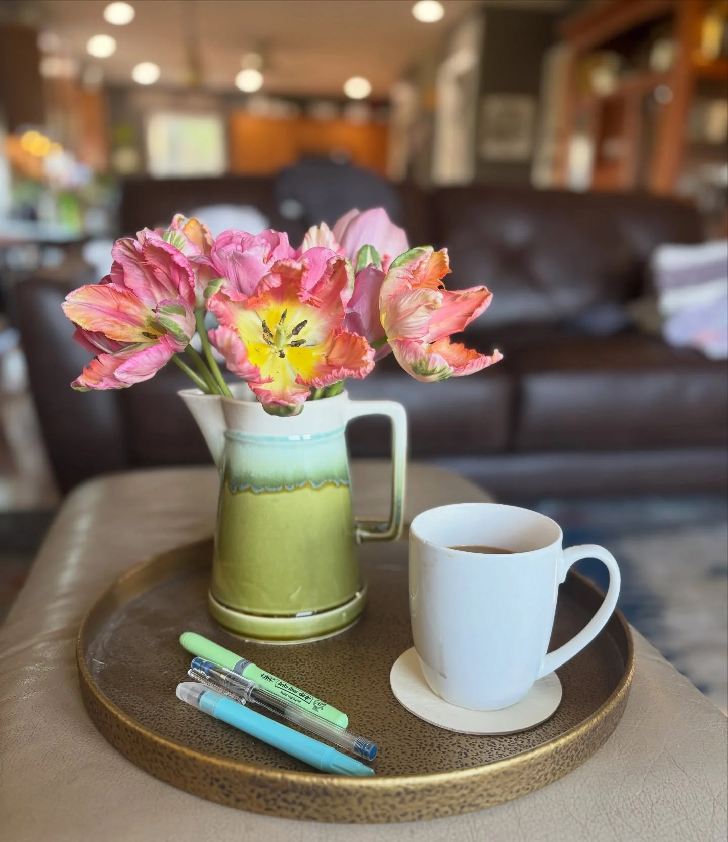*Parrot Apricot Tulips" and Starbucks "Pike Peak" brew with "Oatly" creamer.
#starbucks #oatly #johnnyseeds #gwensgreens