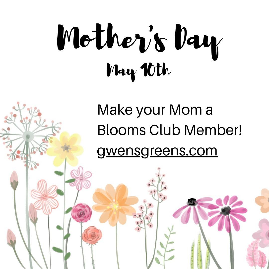 Thank you for helping us share goodness and beauty! #linkinbio #gwensgreens #goodnessandbeauty #gwensblooms