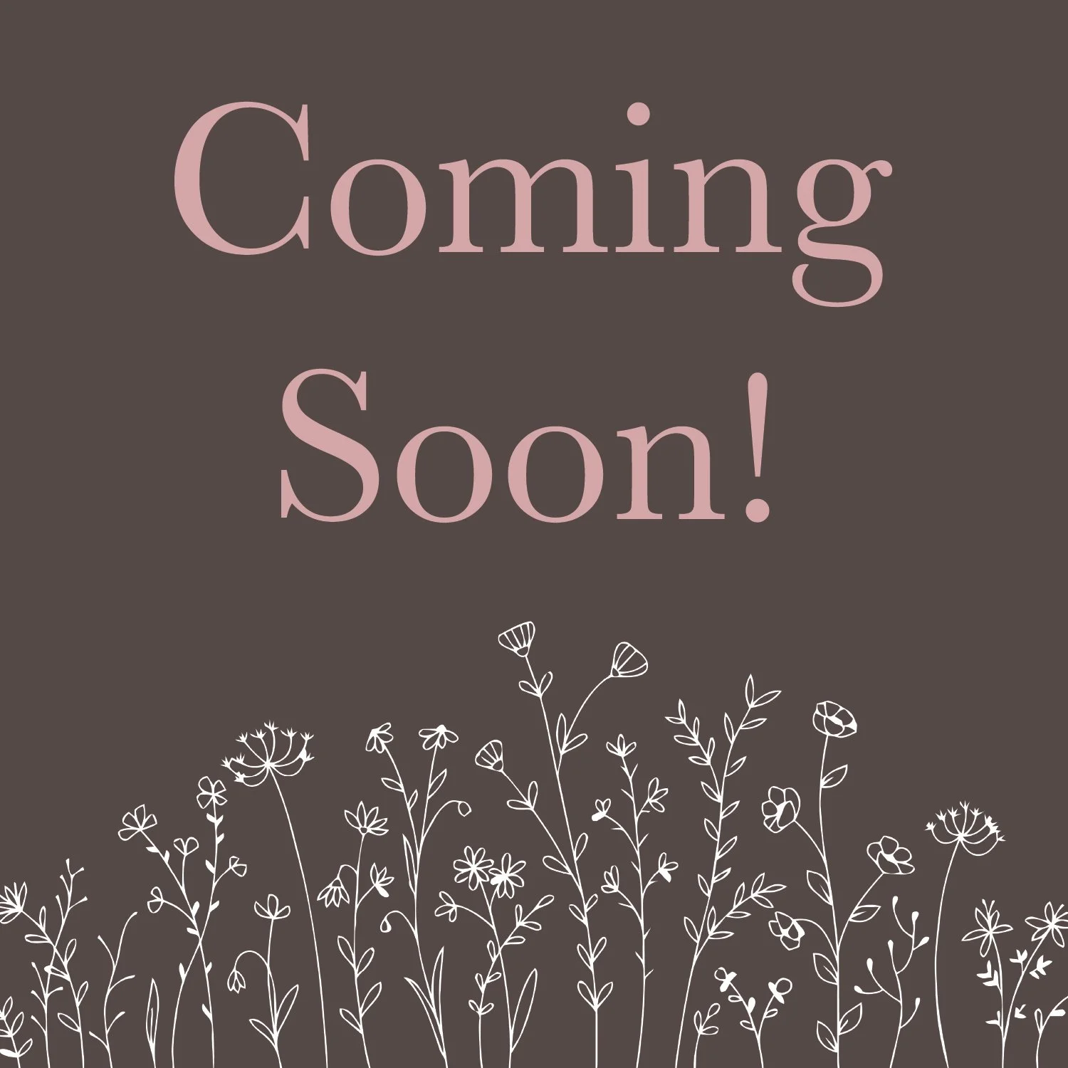 coming soon asset.jpg