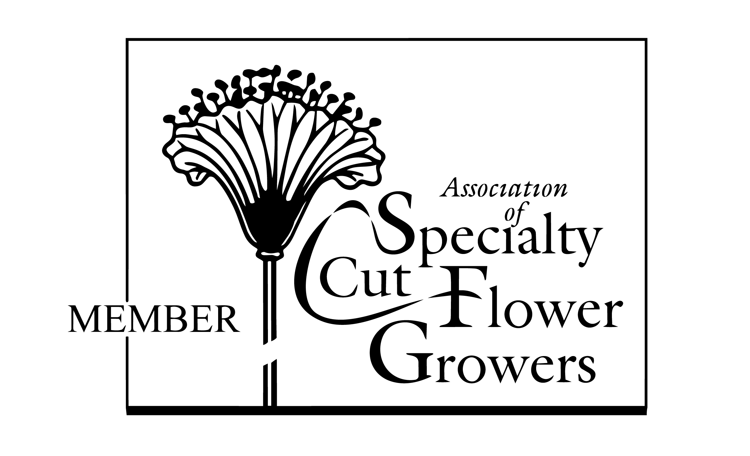 Black and white membership card for the Association of Specialty Cut Flower Growers featuring a stylized flower illustration and text.