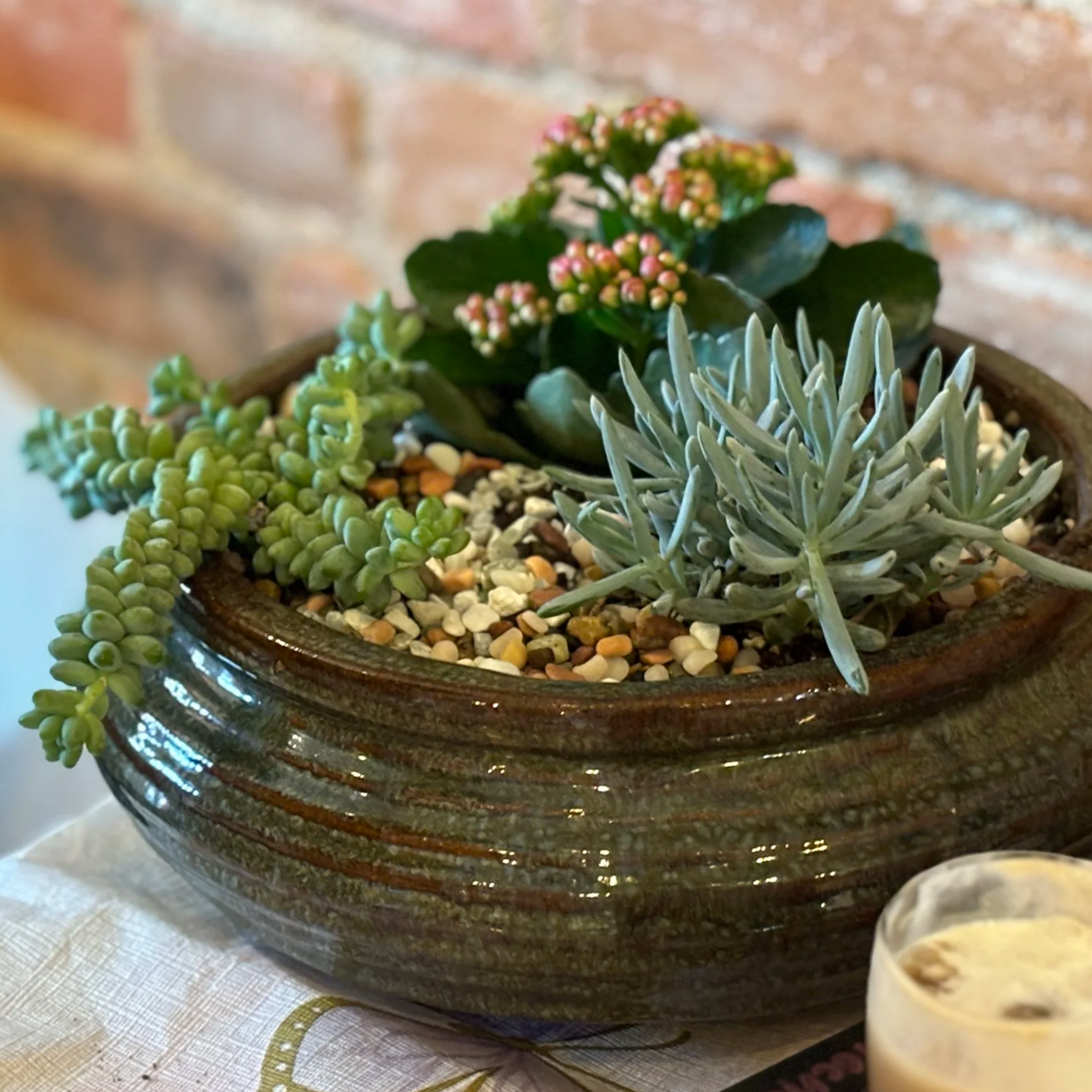 A ceramic pot with cacti and succulents, including a trailing jade plant, a kalanchoe with pink flowers, and a silvery succulent, placed on a table with a cloth and a glass of iced coffee.