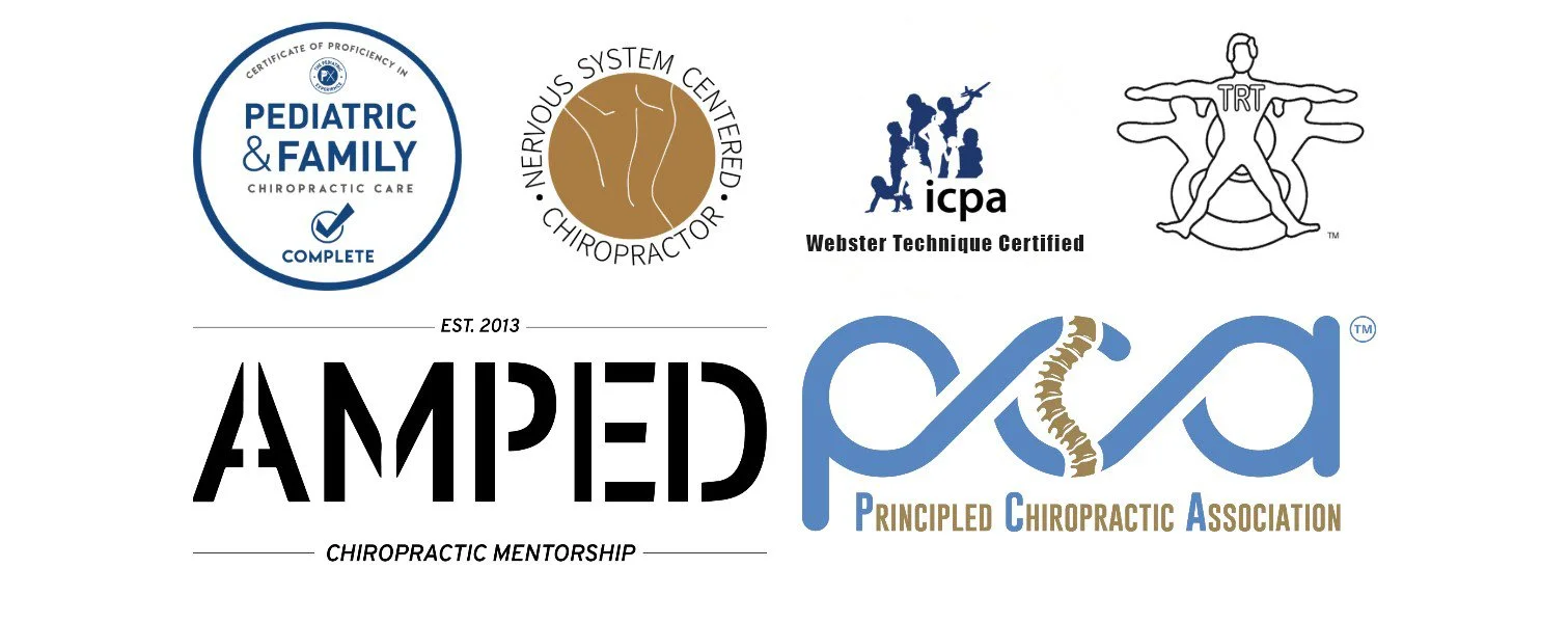 Pediatric & Family Chiropractic Care, Nerve System Centered Chiropractic, Webster Technique Certified, and the Principle Chiropractic Association, with a central logo for AMPED Chiropractic Mentorship. Chiropractor in Roanoke, Virginia.