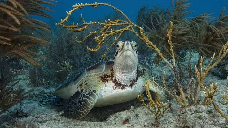 Small Sips, Big Impact