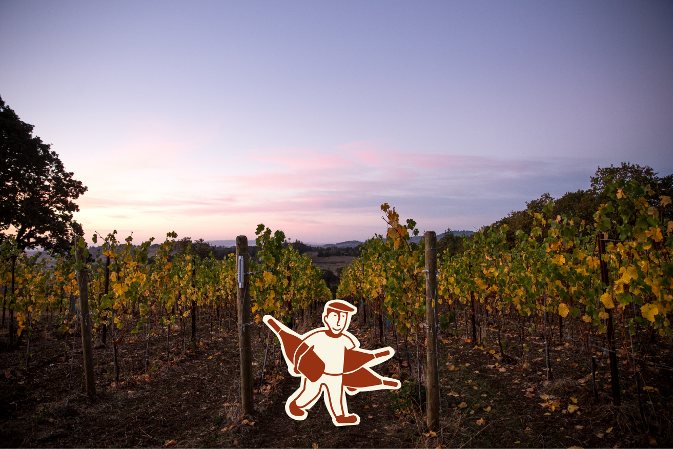 Best Oregon Pinot Noir Under $25: Why This Elegant Wine Is Worth Exploring