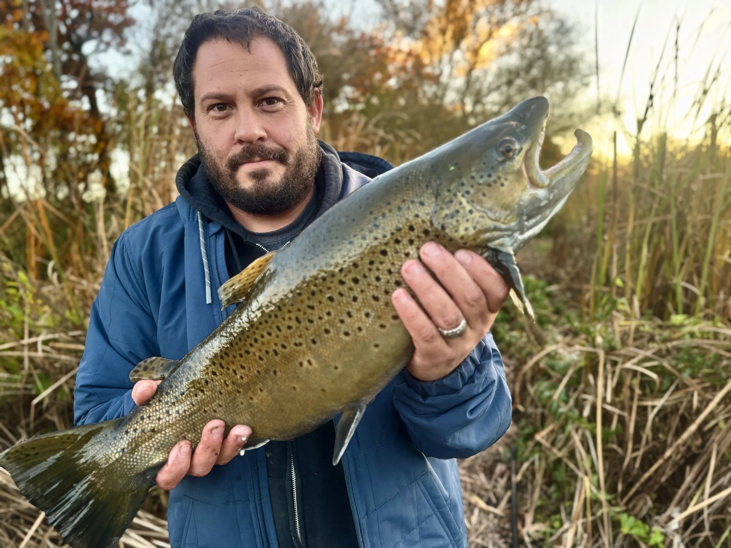 Man holding a large fish outdoors in a marsh with tall reeds and trees with fall foliage in the background.