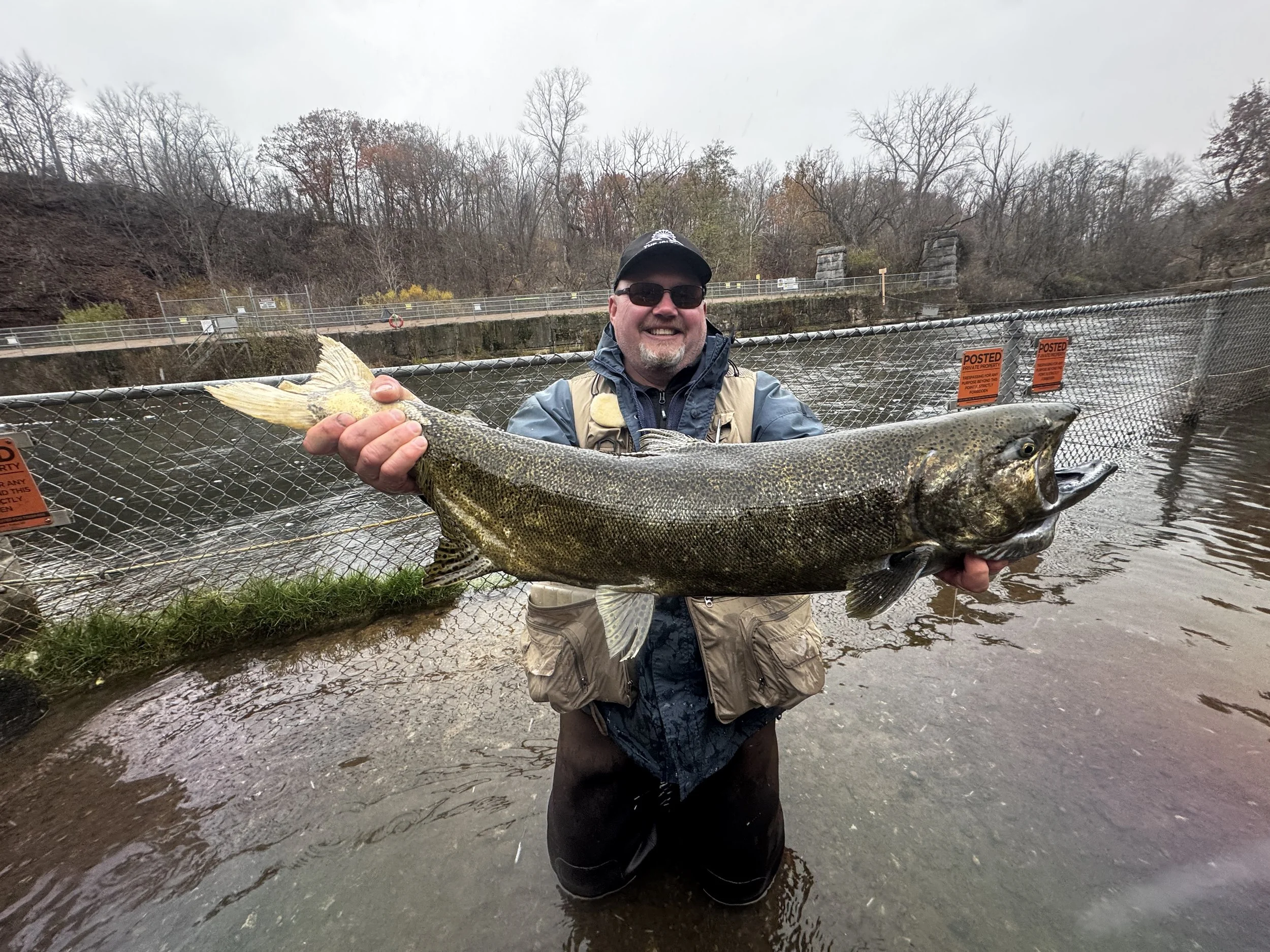 Man kneeling in water holding a large fish outdoors with trees and fences in the background.