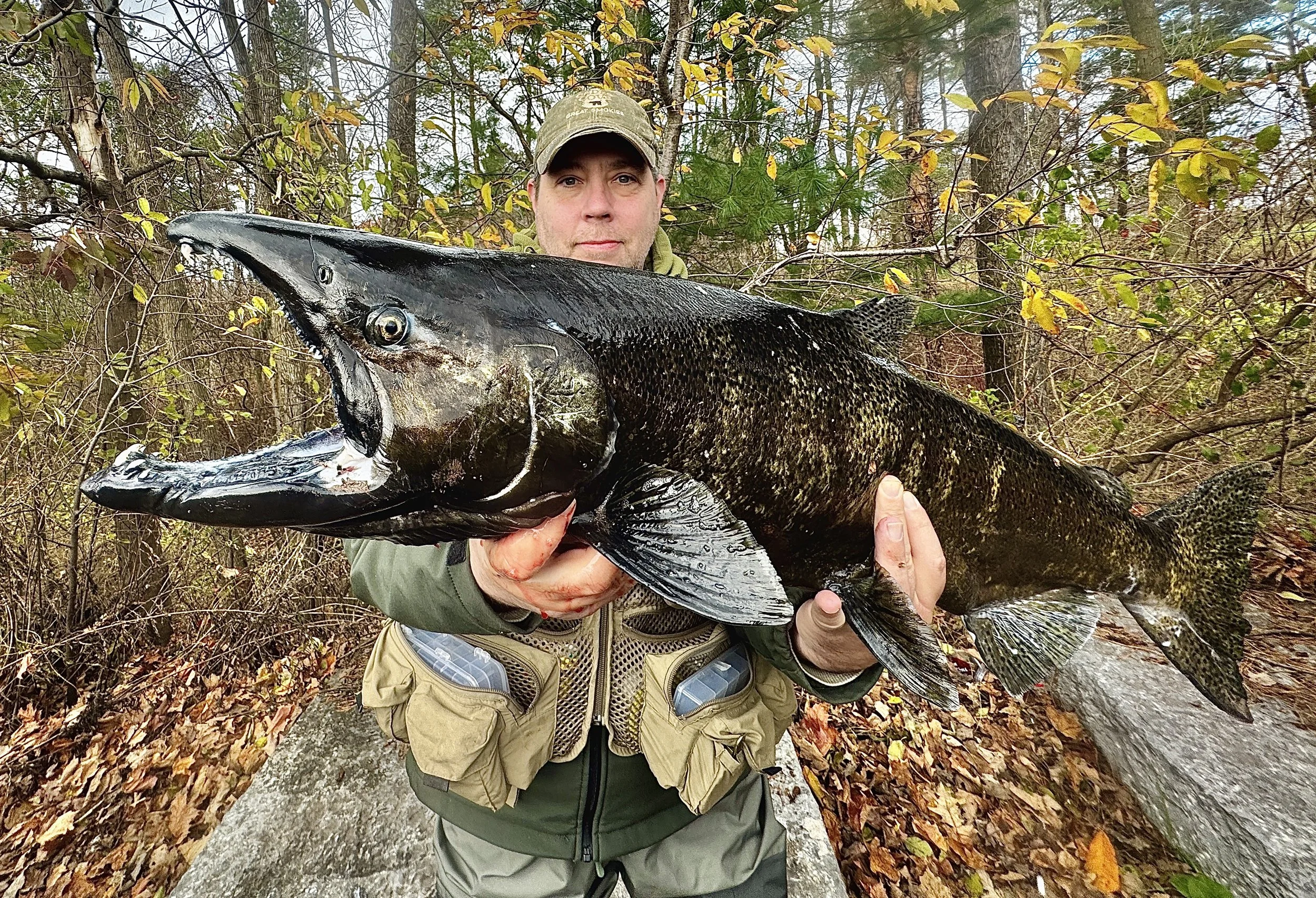 A man holding a large fish with a long snout and dark mottled body in a wooded area during autumn.