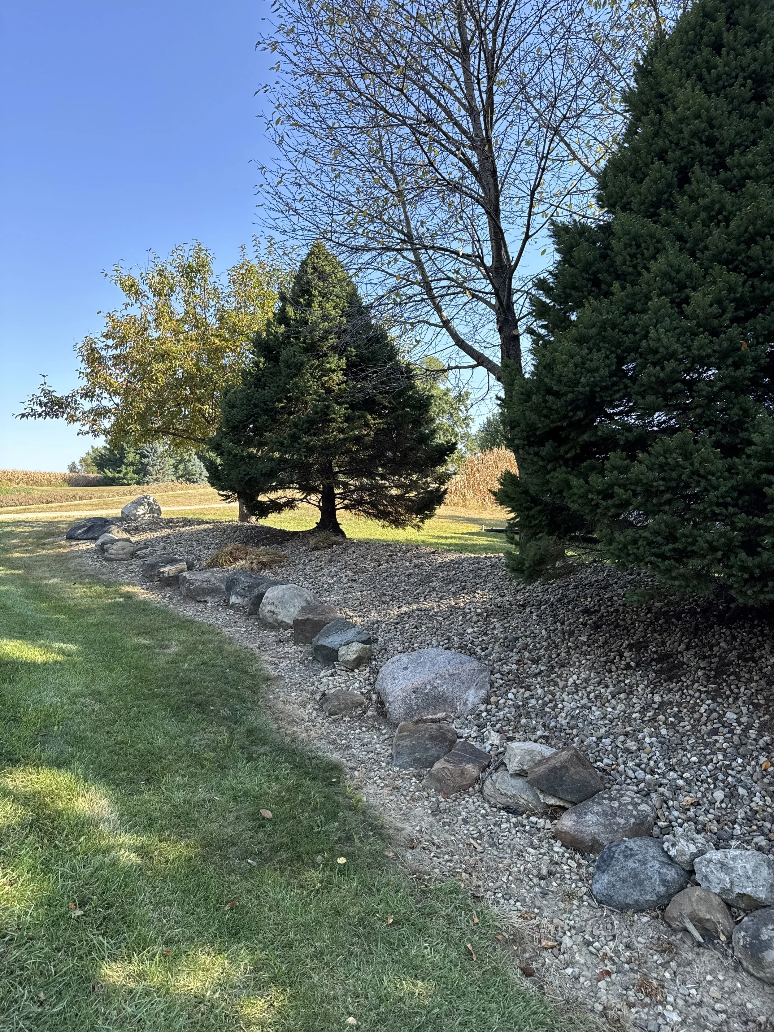 Landscaped yard with a row of large rocks and gravel, green grass in the foreground, and Trees with some leaves changing color, against a clear blue sky.