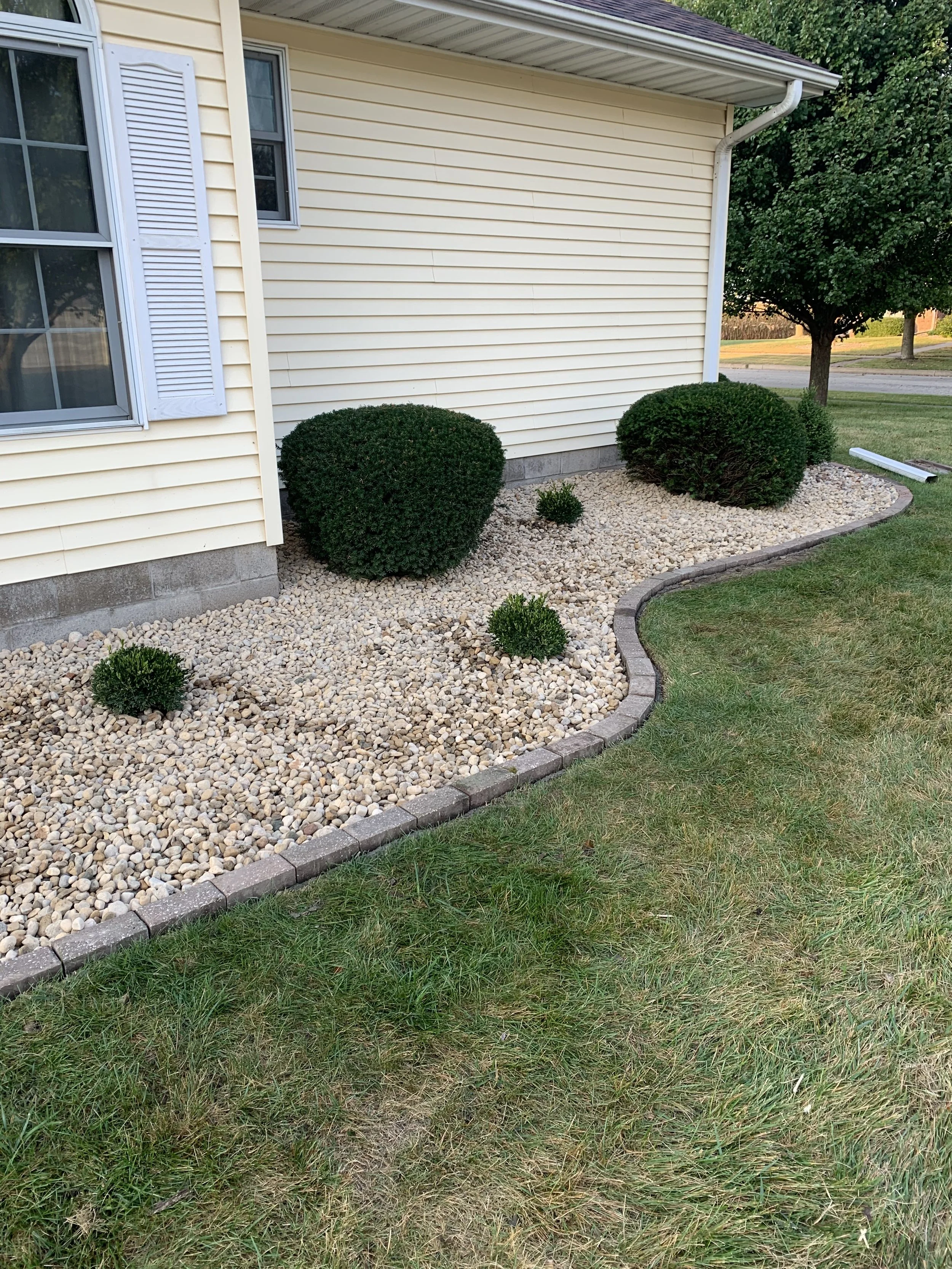 A backyard landscape featuring a garden bed with light-colored rocks, three green rounded bushes, and a curved border with bricks, adjacent to a yellow house with white trim and shutters, a window, and a green lawn with a tree in the background.