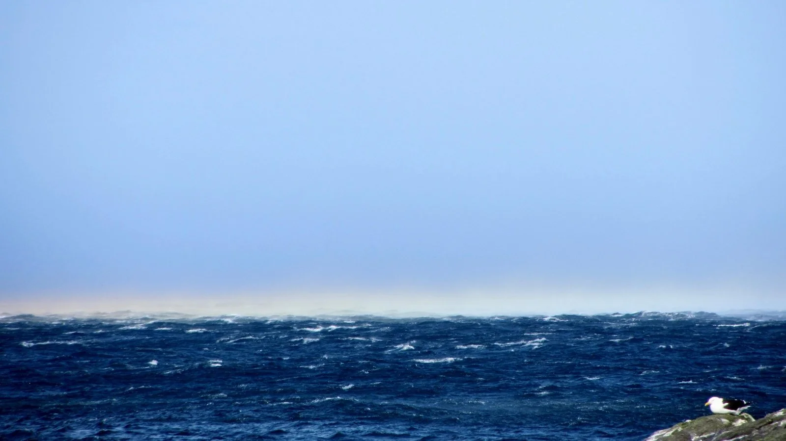 Winds of the world: Roaring forties on Cook Strait, New Zealand
