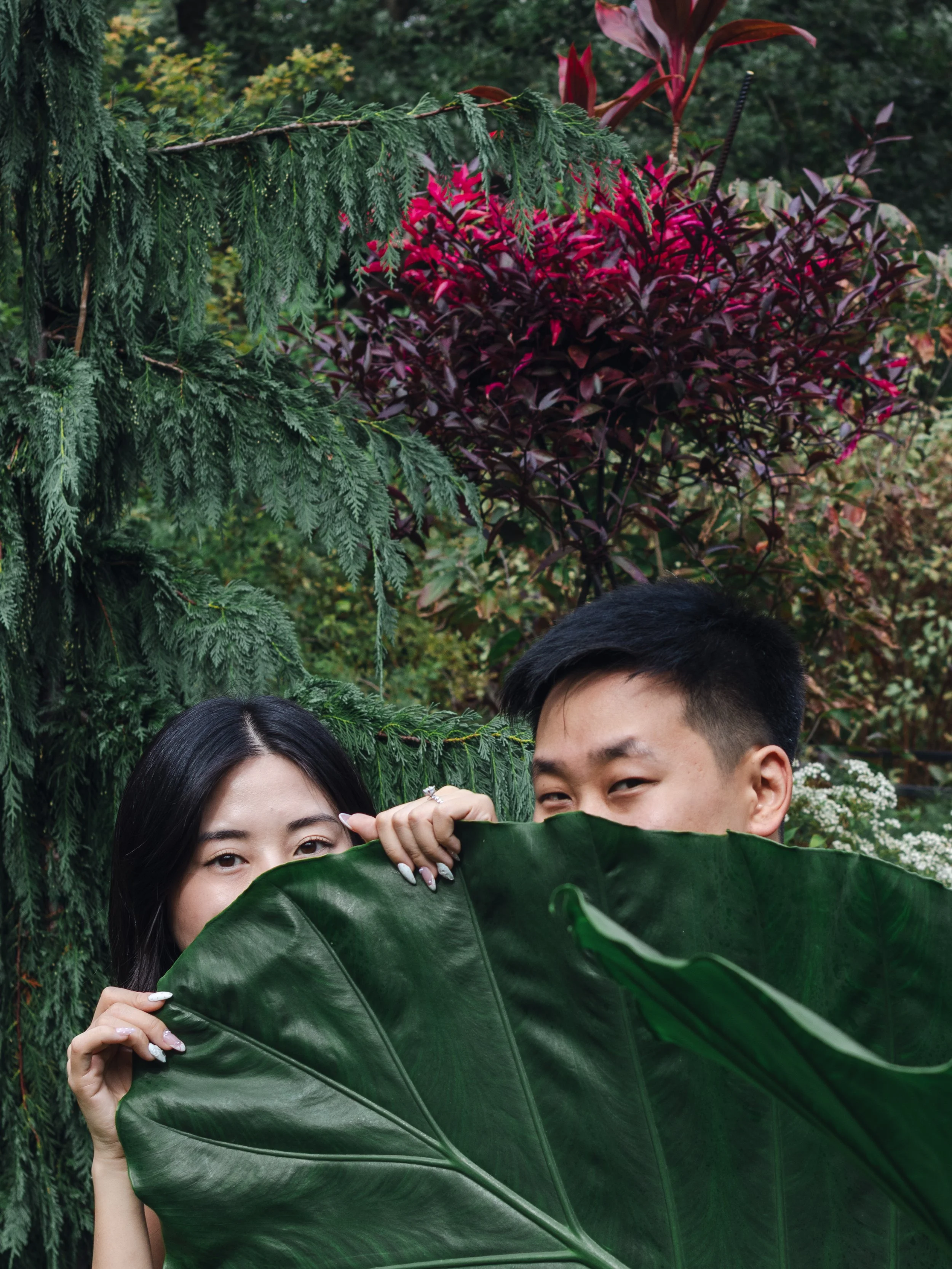 Partial view of a woman and a man hiding behind a large green leaf in a lush garden with various green and reddish plants in the background.